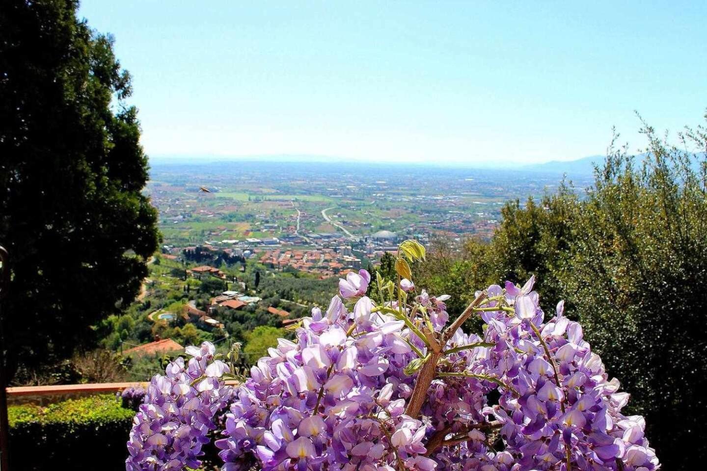 Villa la Moresca Relais de Charme B&B Adults only