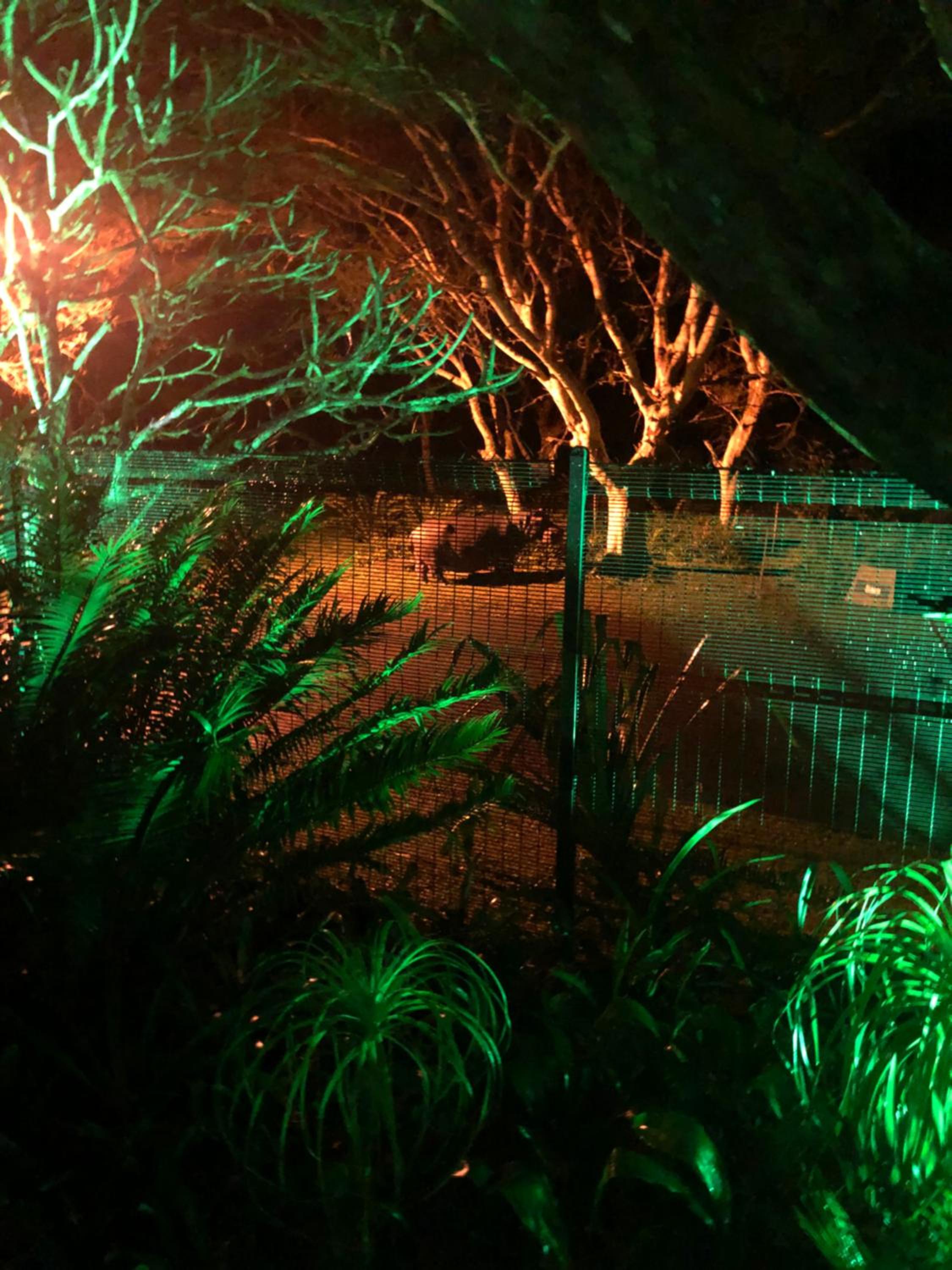 Leopard Corner Lodge