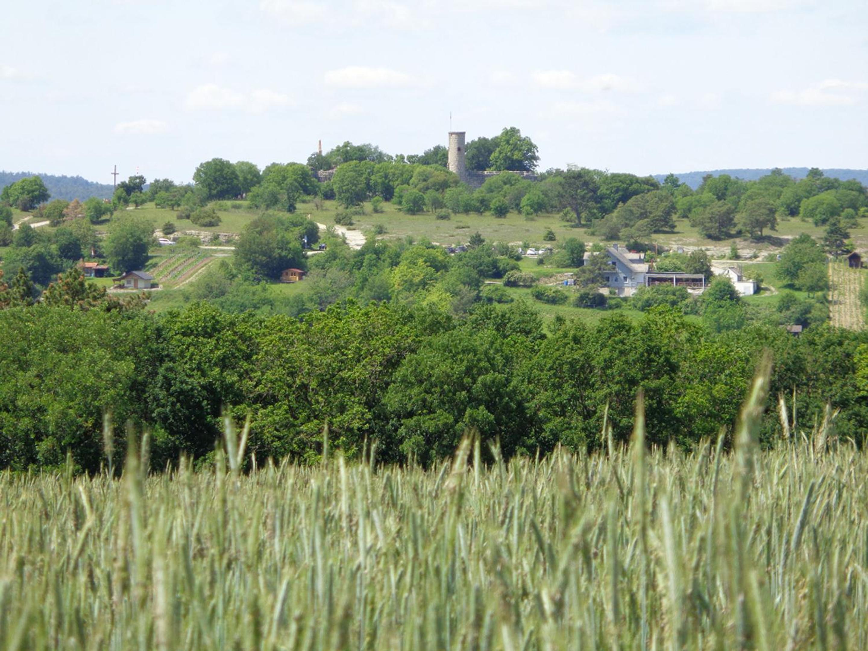 Photo 7