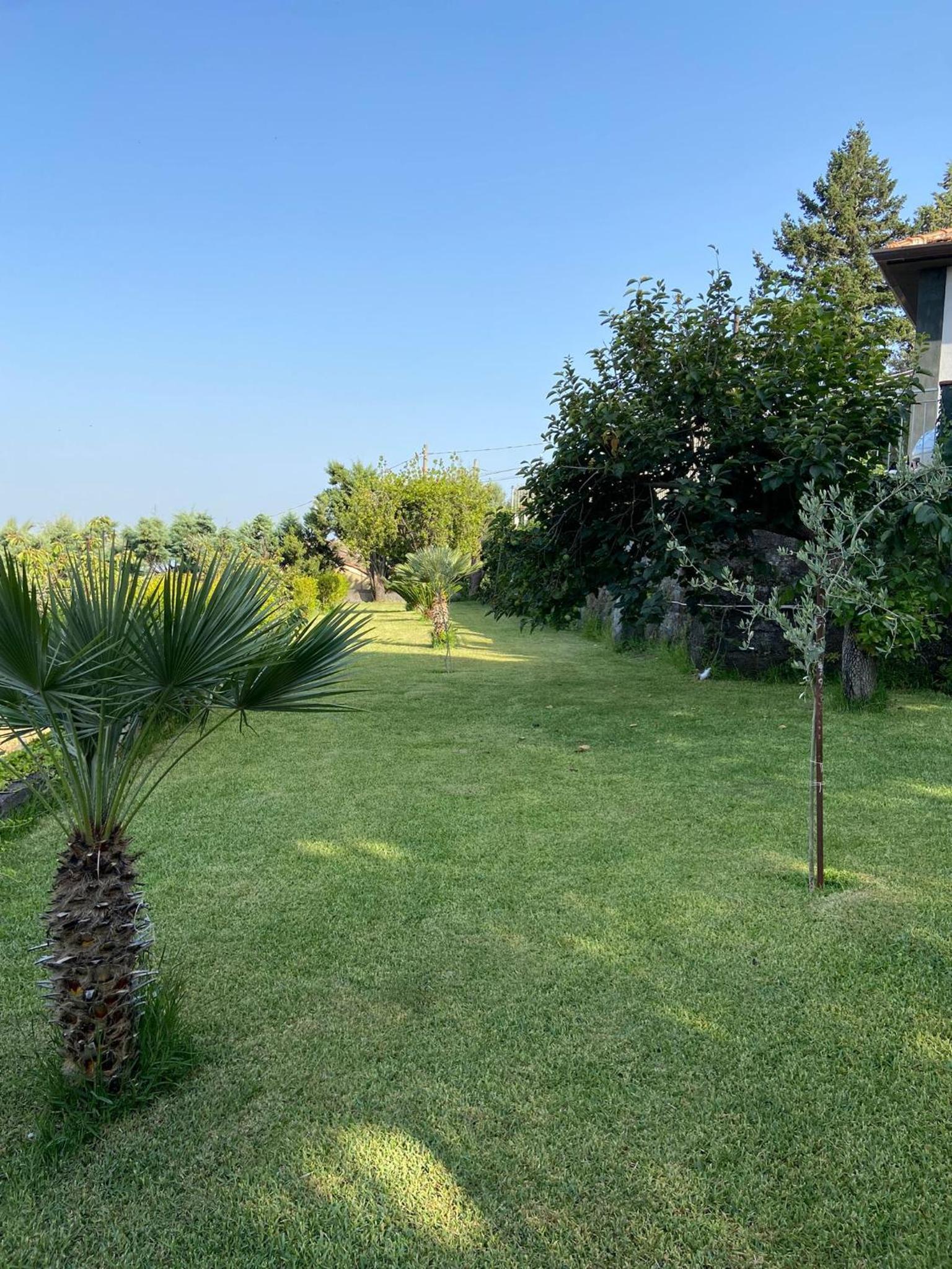 B&B Belvedere view 4