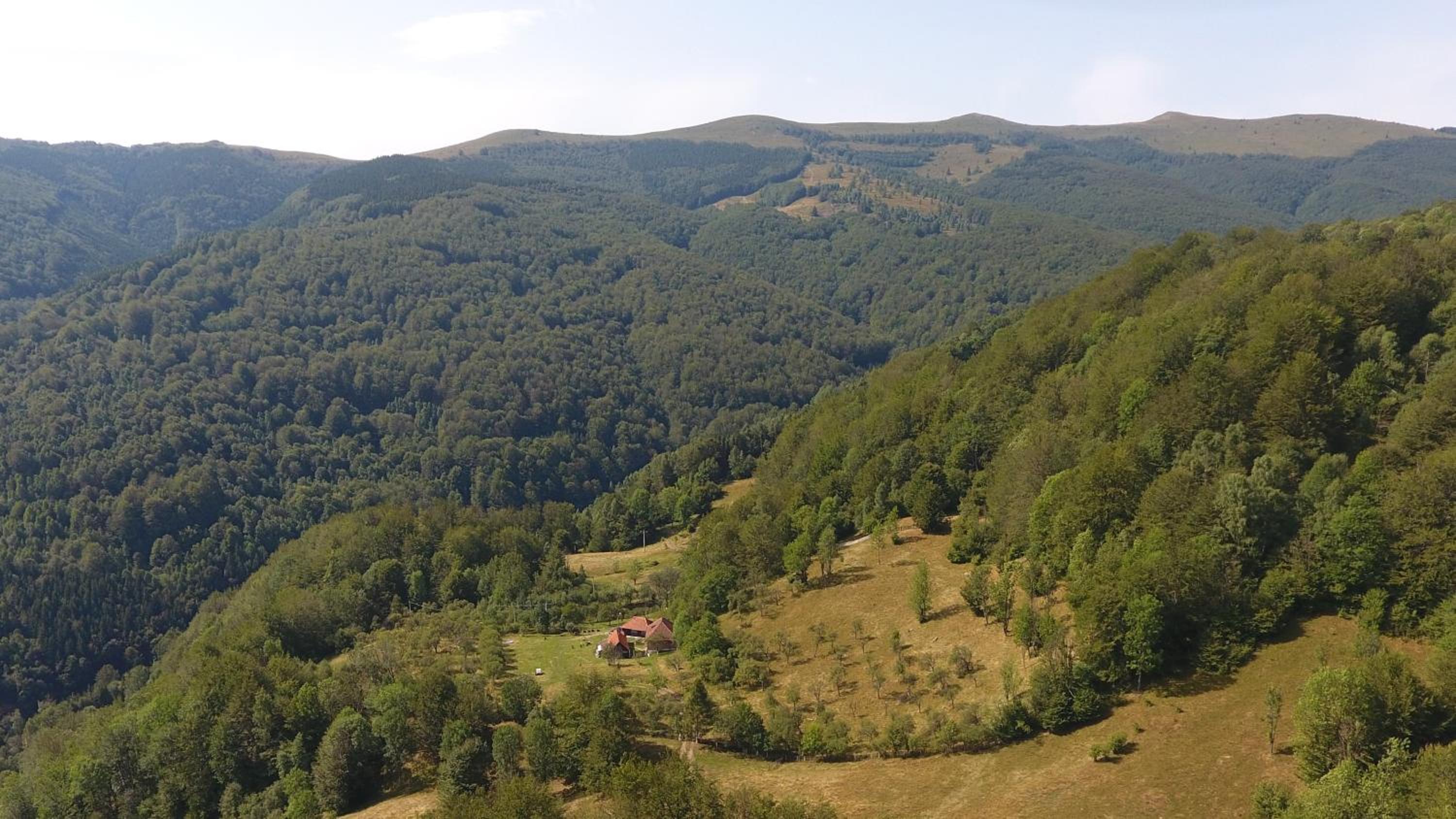 Casa Nomentana view 4