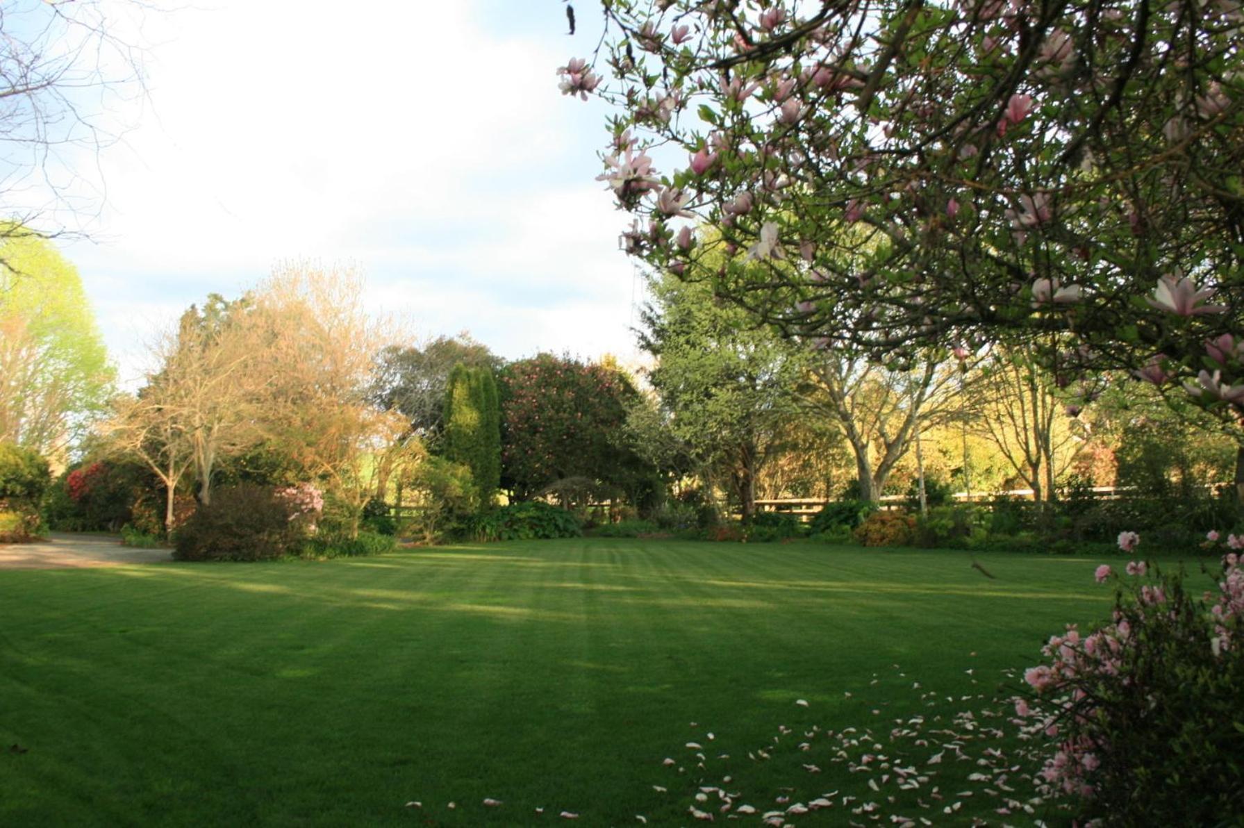 Photo 42