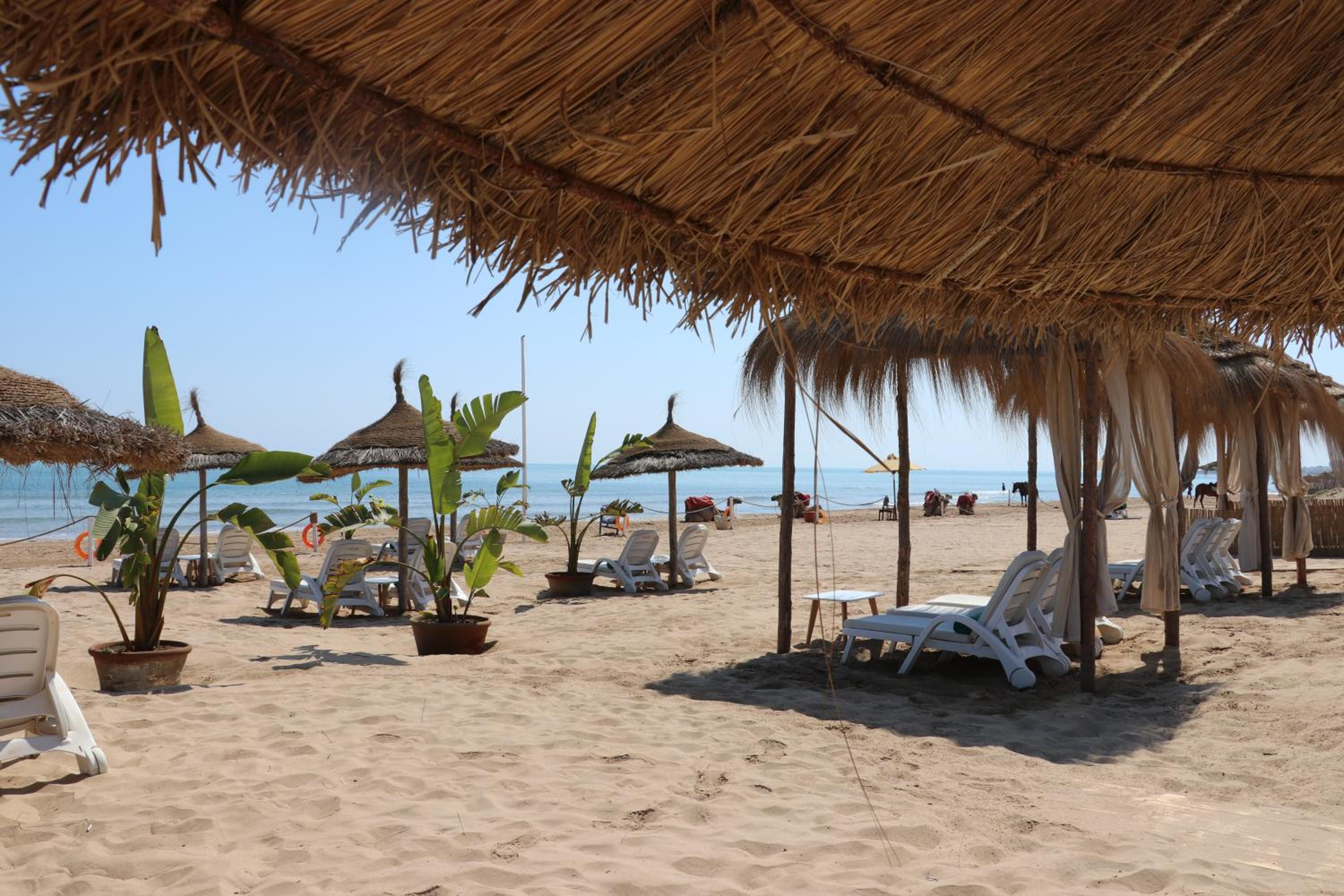 Gammarth Vacations - The Residence Tunis - Property Image 8