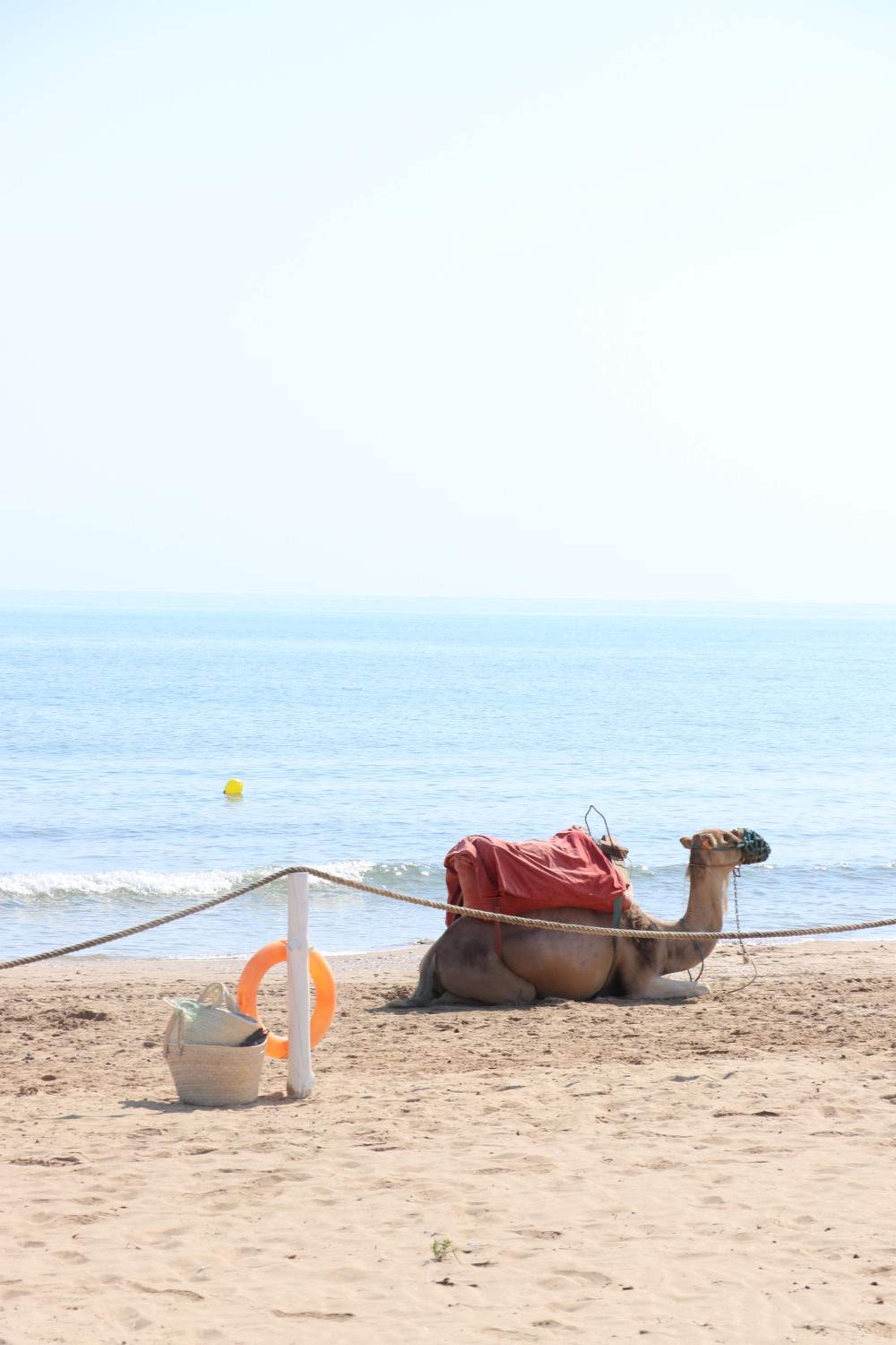 Gammarth Vacations - The Residence Tunis - Property Image 5