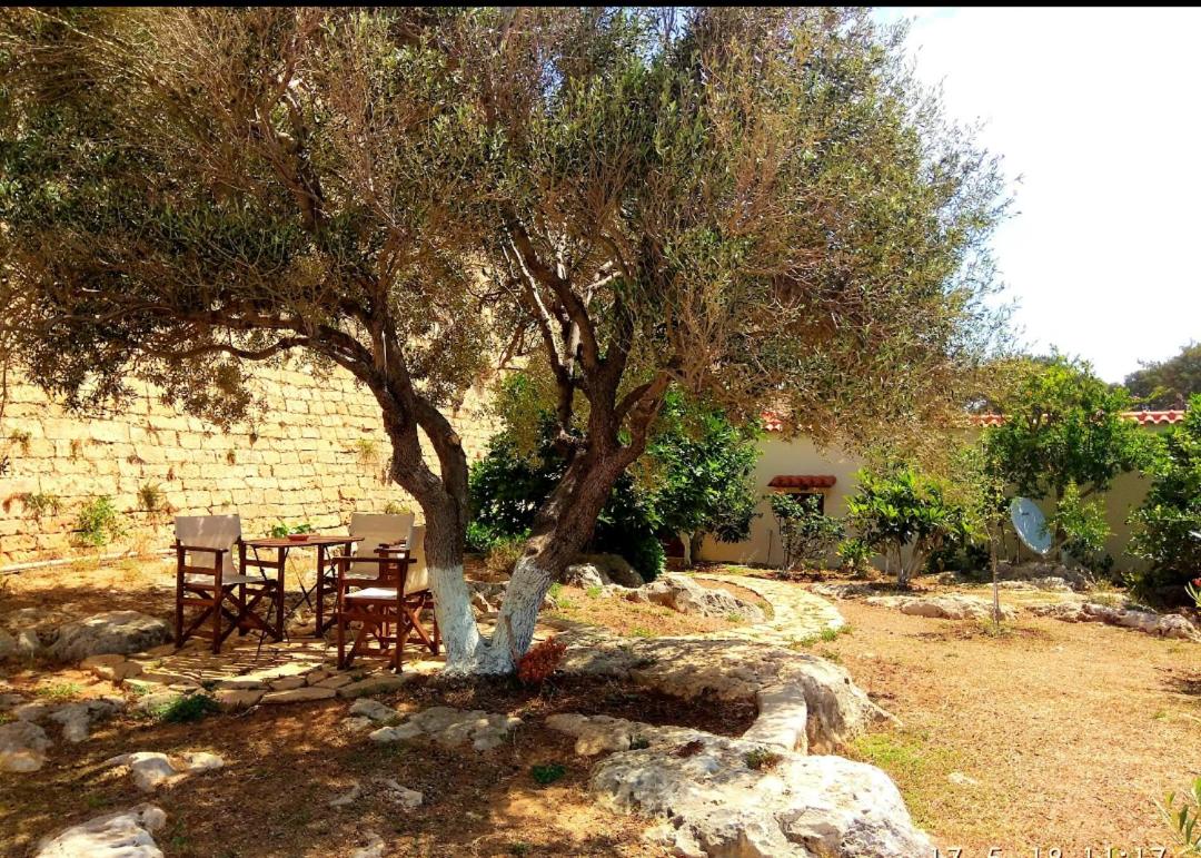 Photo 25
