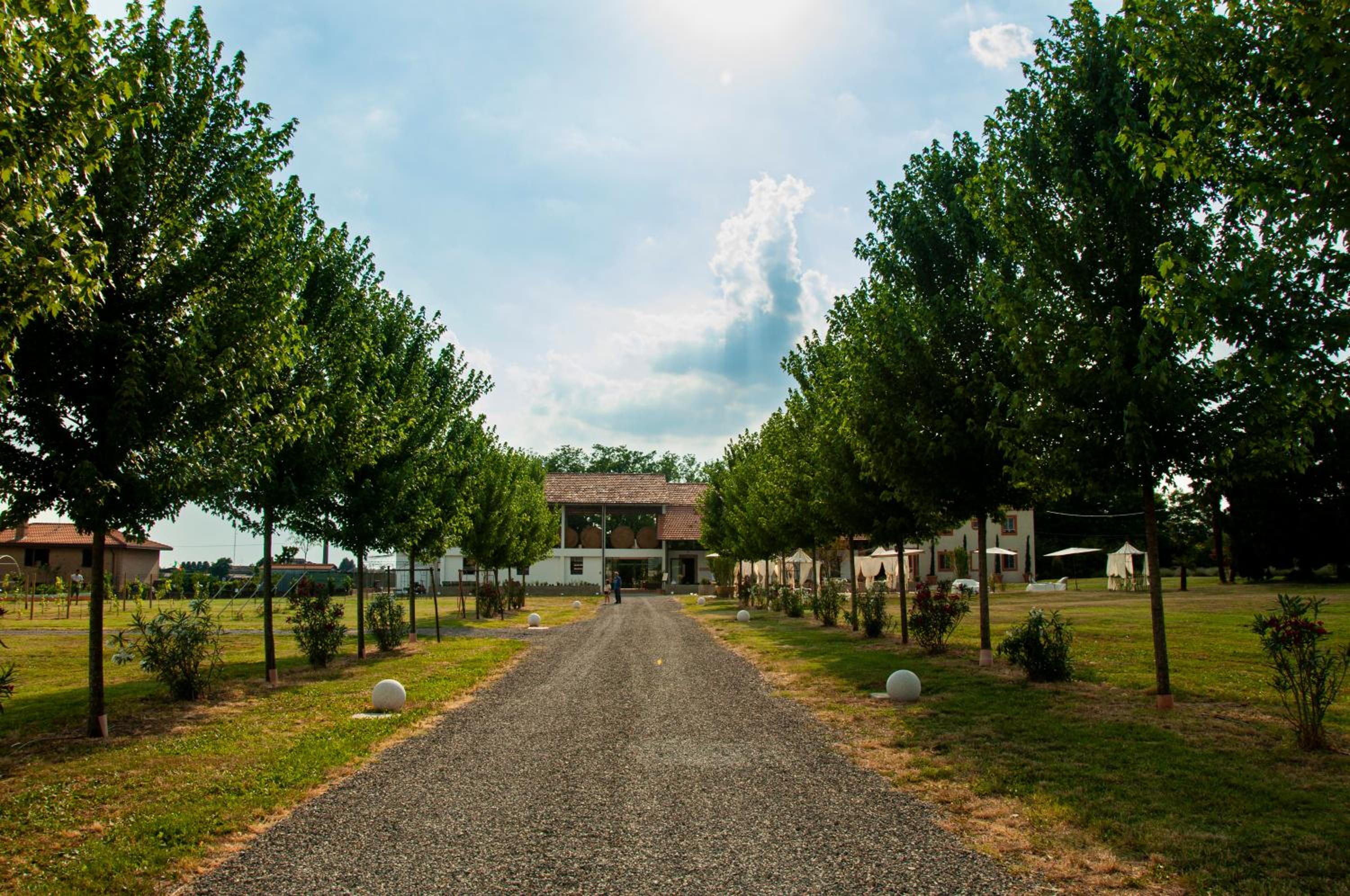 Azienda agricola La Macina view 5