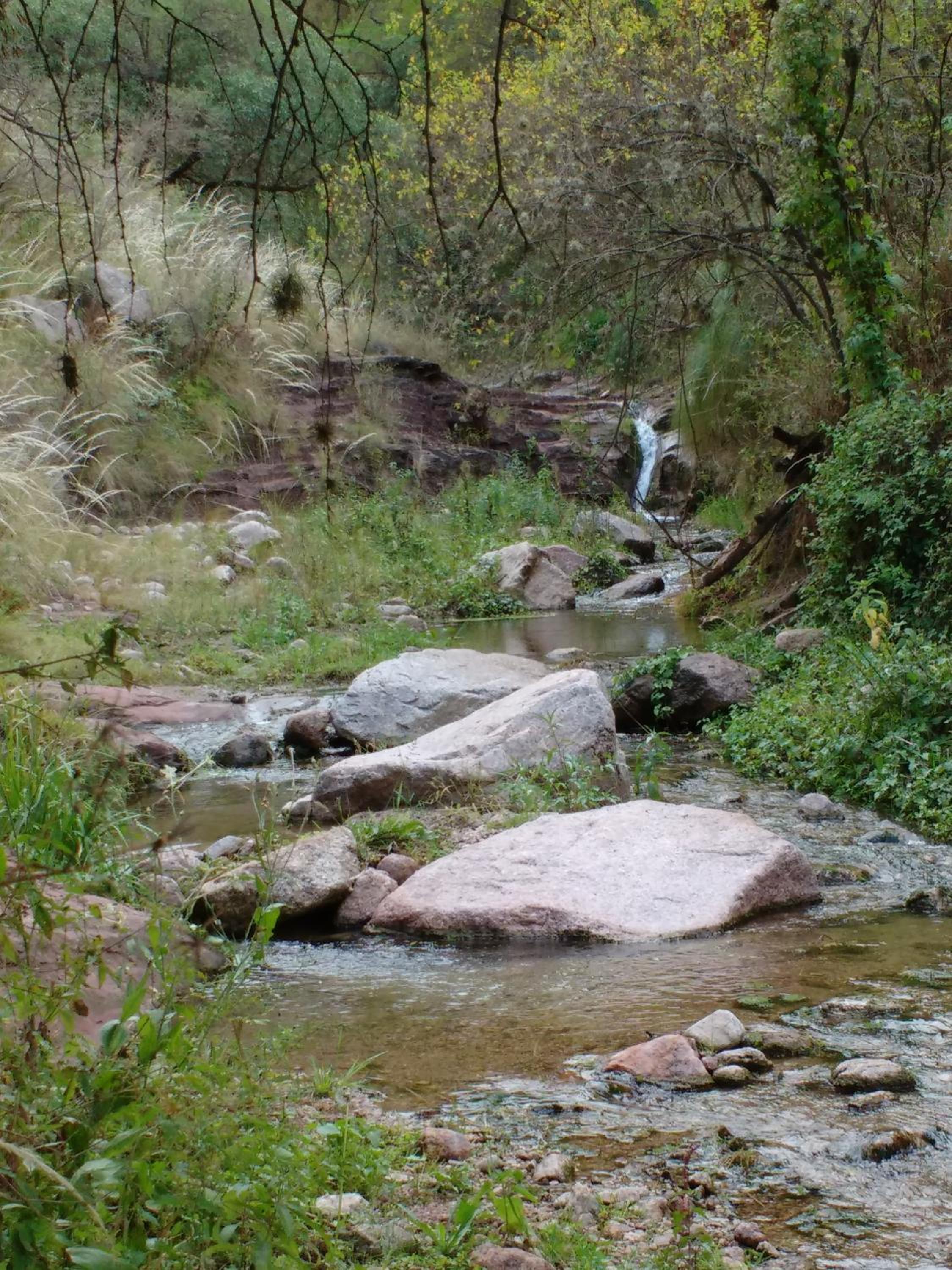 La Killuna