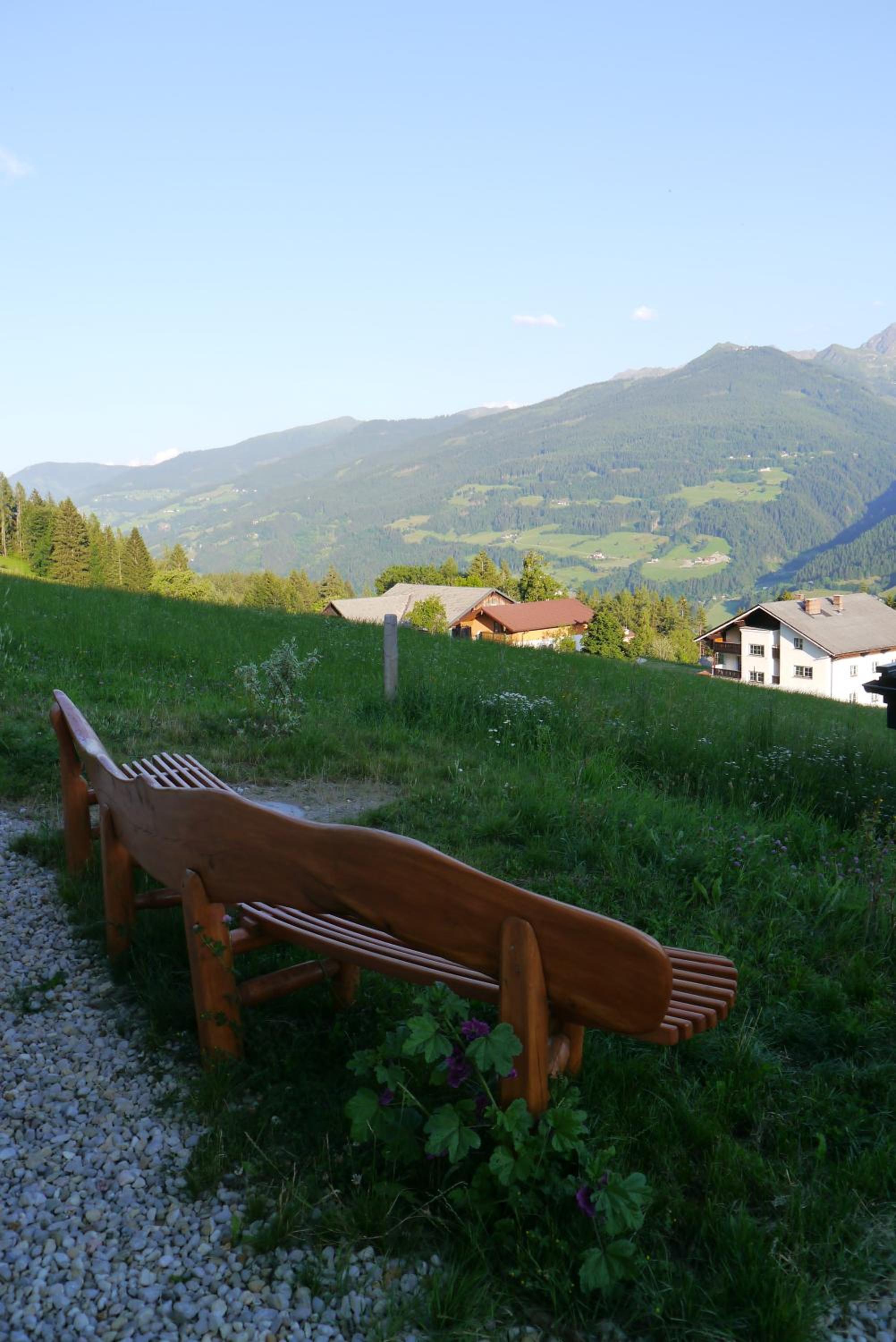 Photo 51