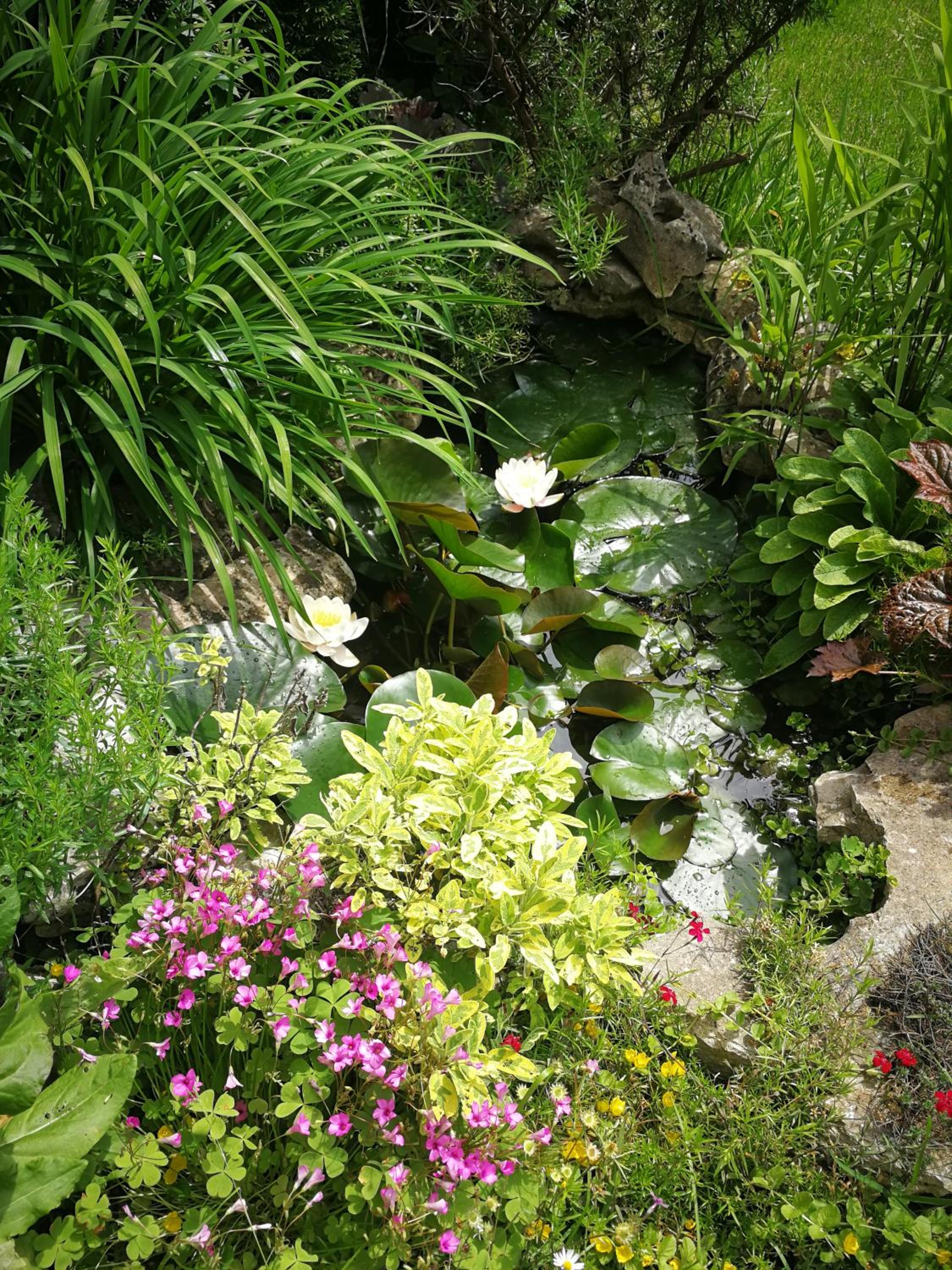 Photo 22