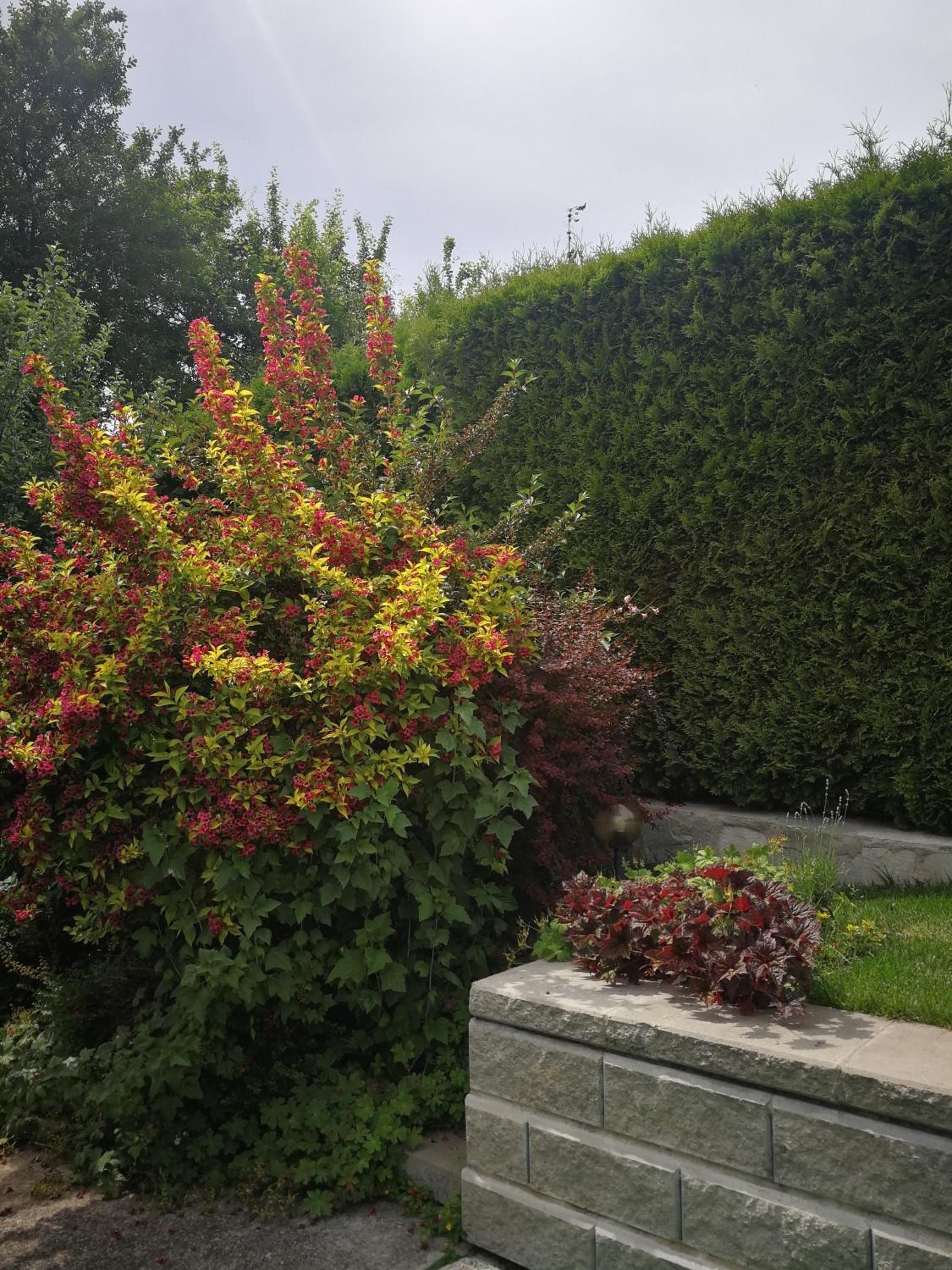 Photo 20