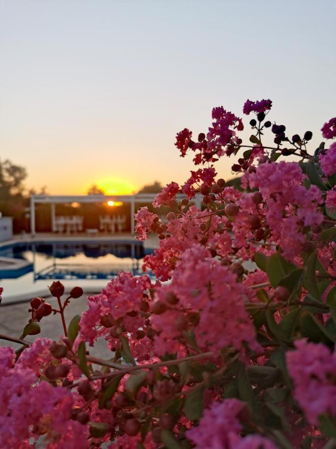PepeRosa B&B and Events view 5