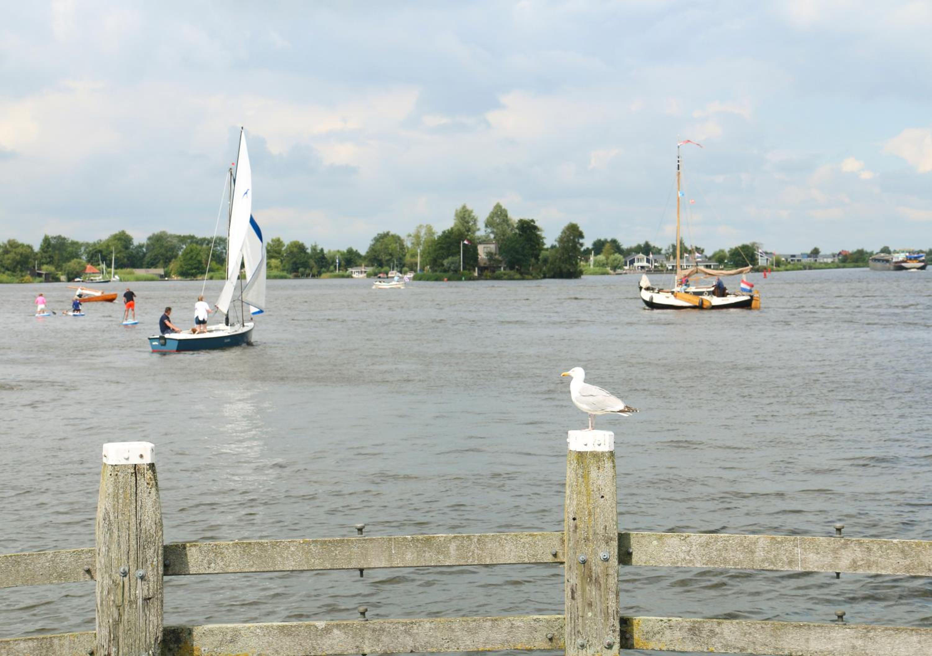 Photo 47