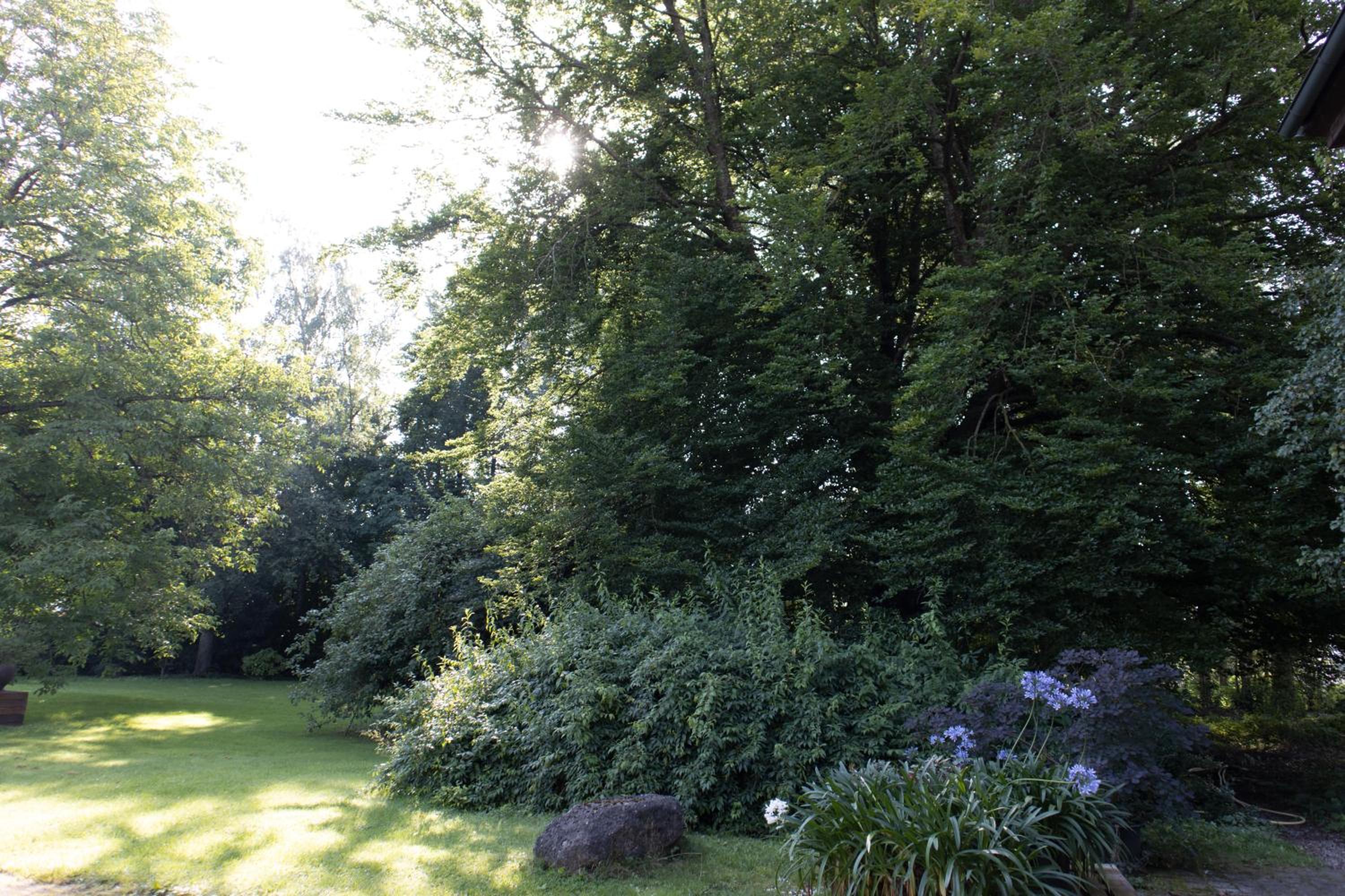 Photo 25