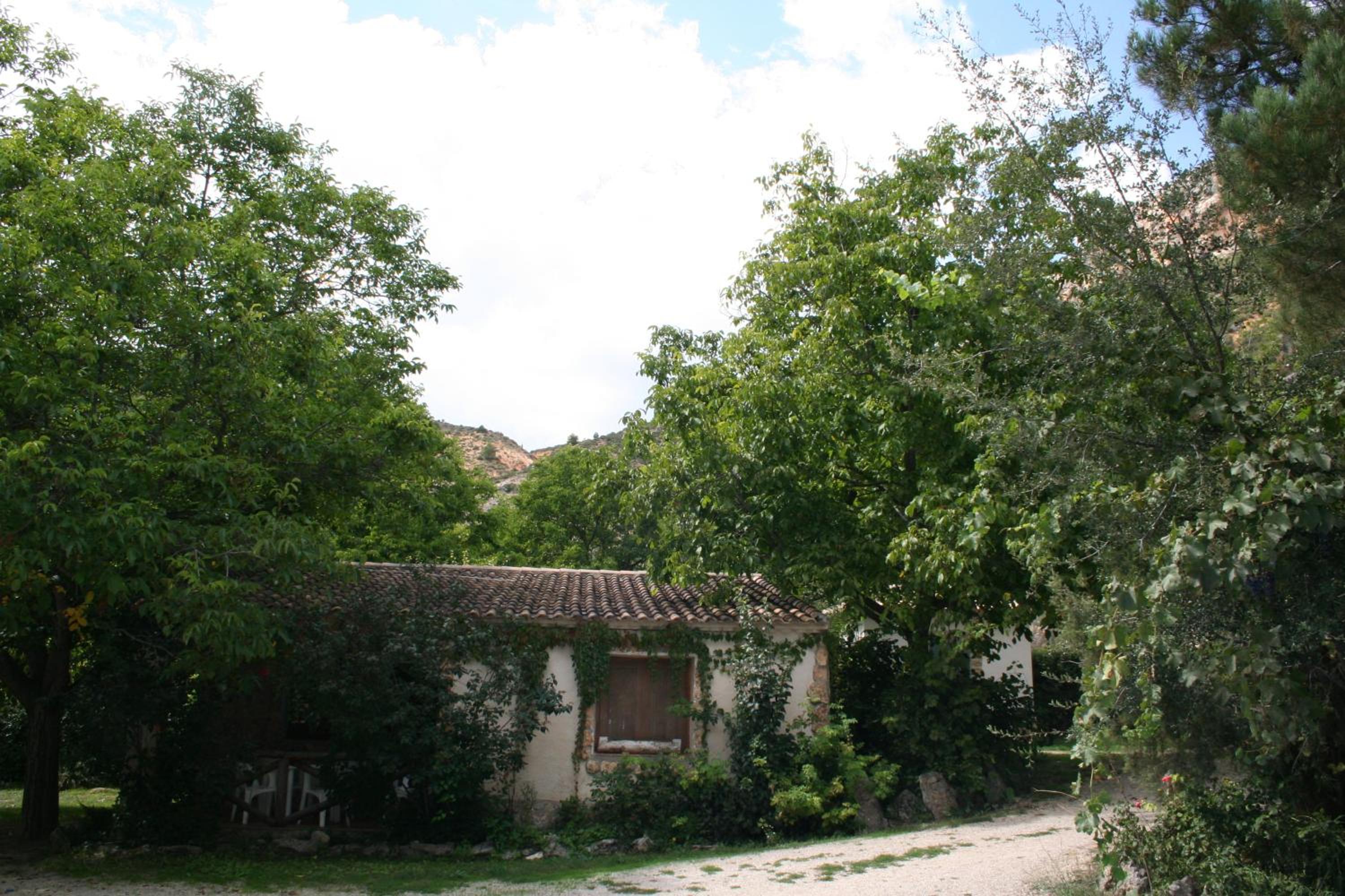 Photo 49