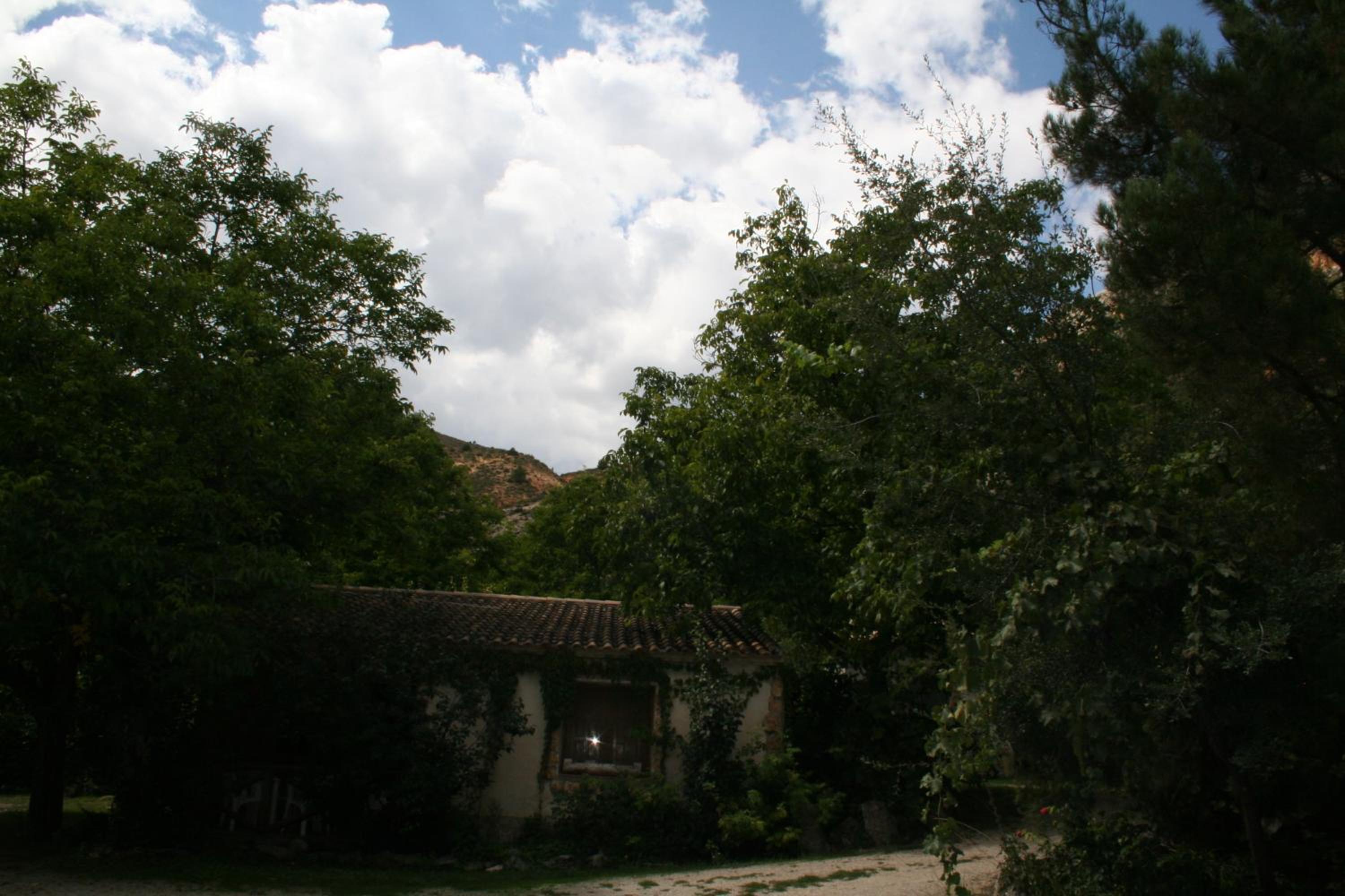 Photo 56