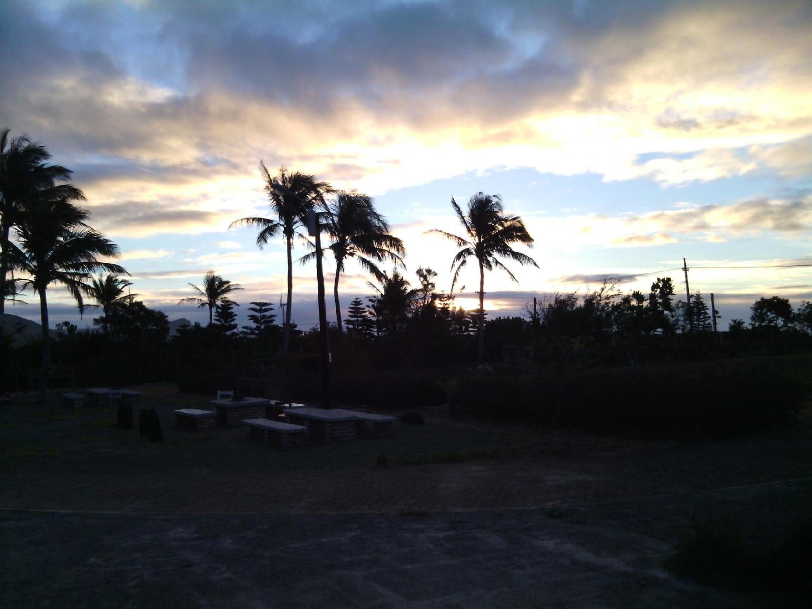 Coconutpalm Home