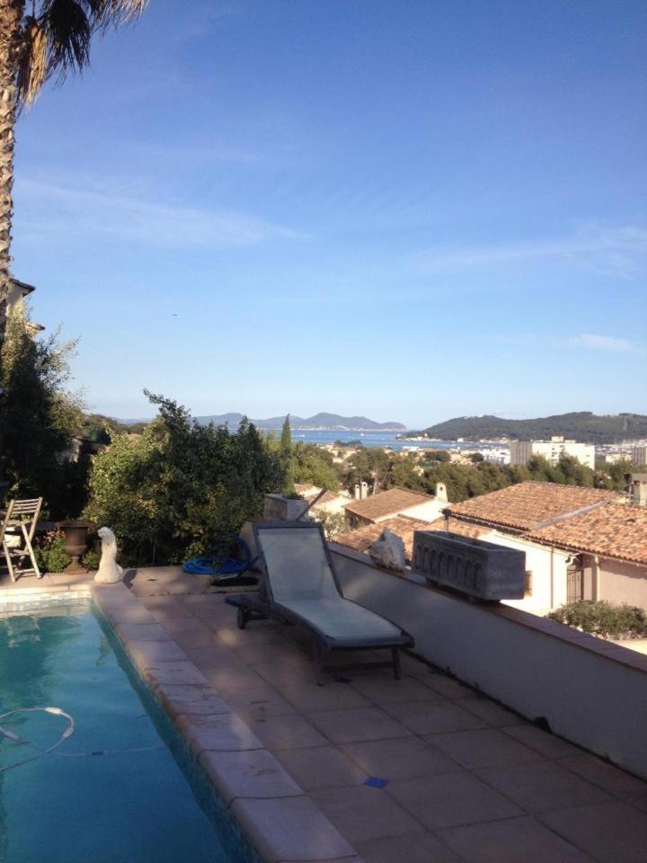 Les tortues vue mer