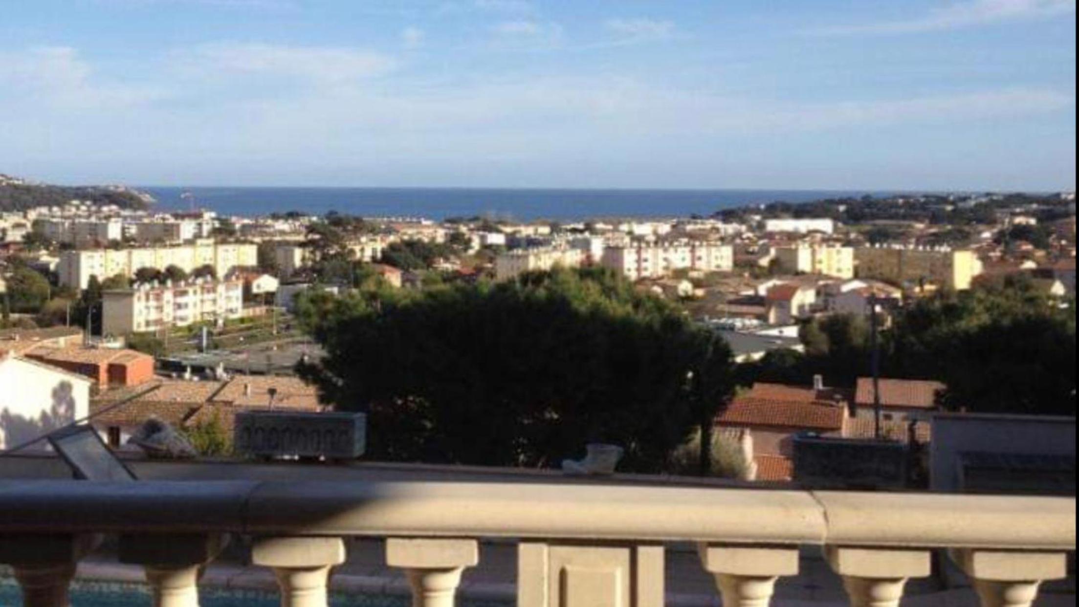 Les tortues vue mer