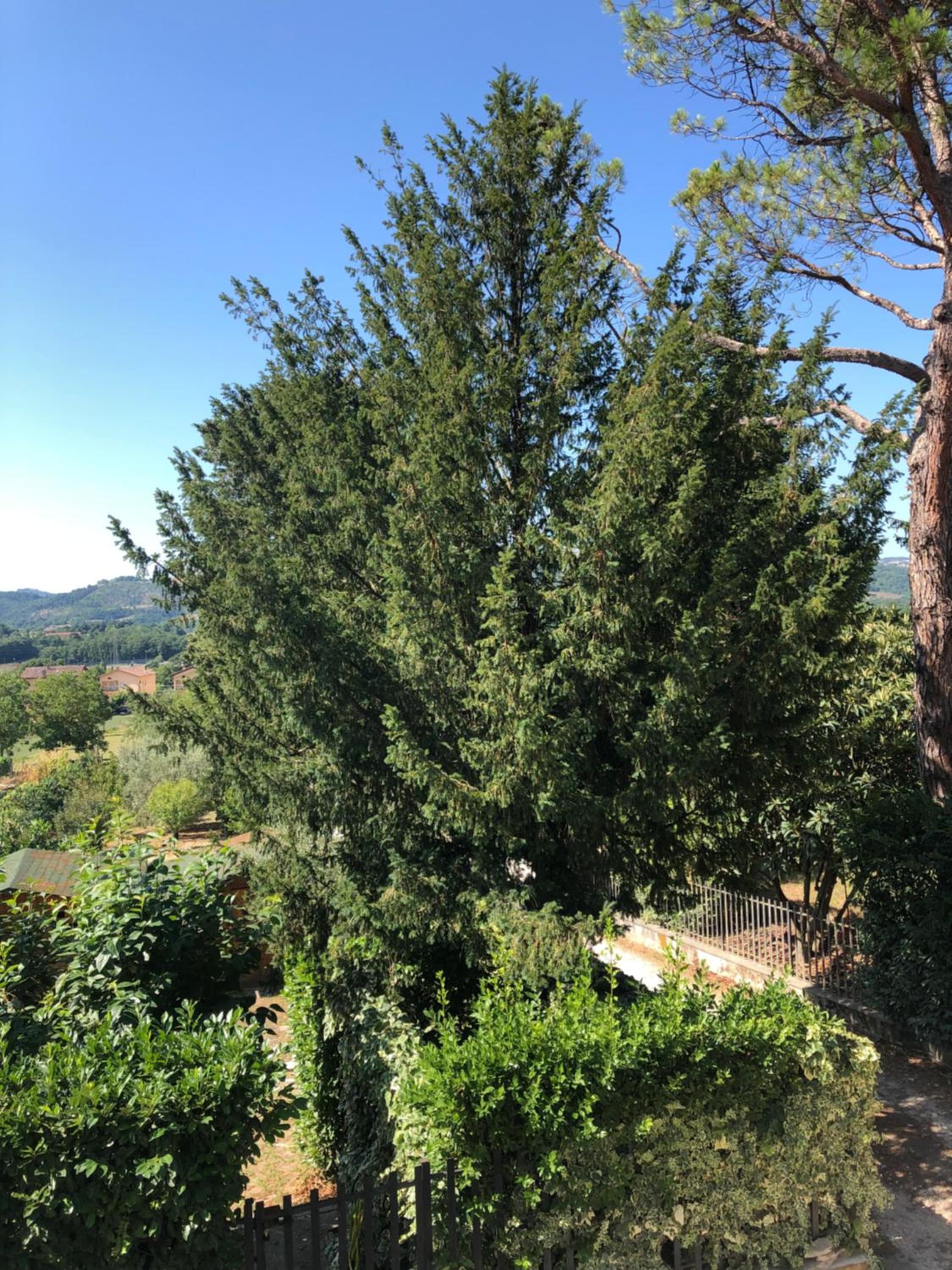 Casa Panfili view 3