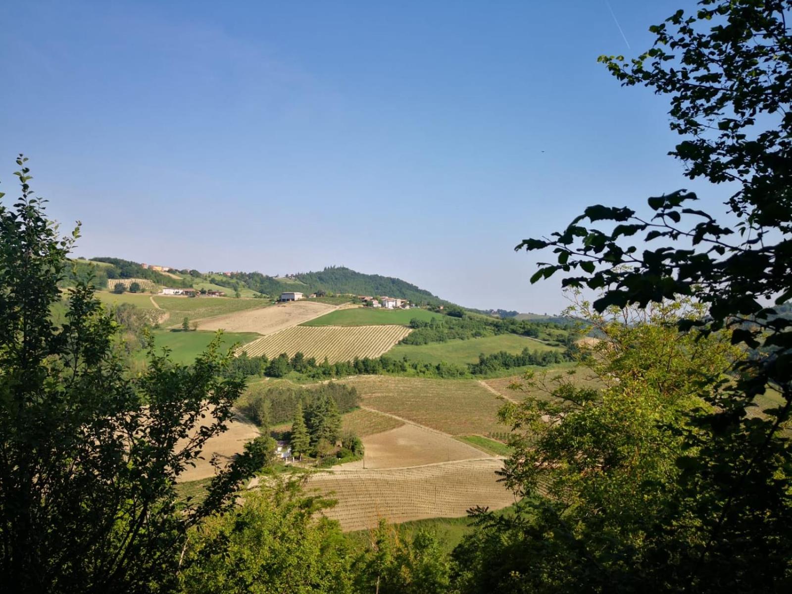 Photo 42