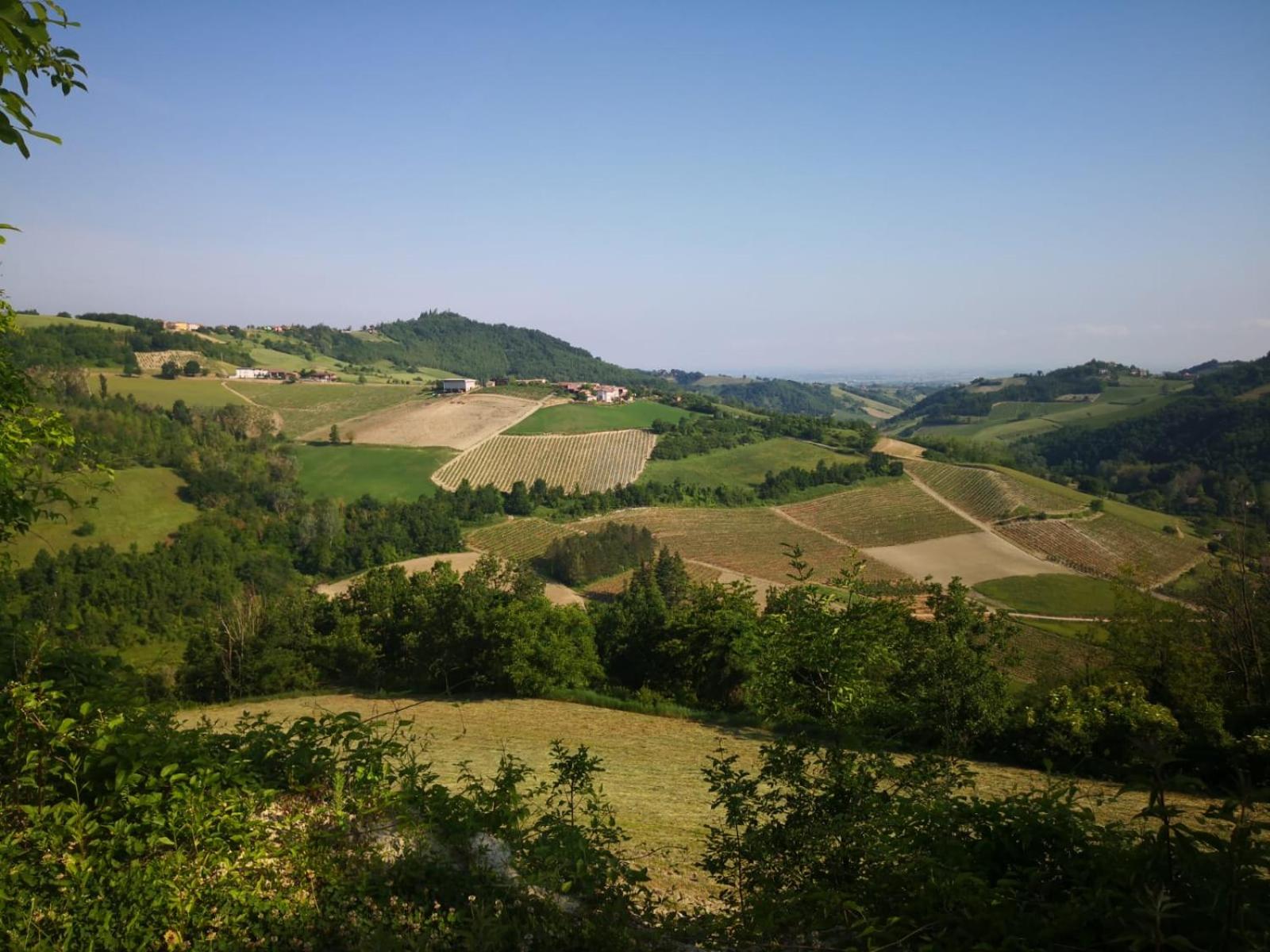 Photo 41