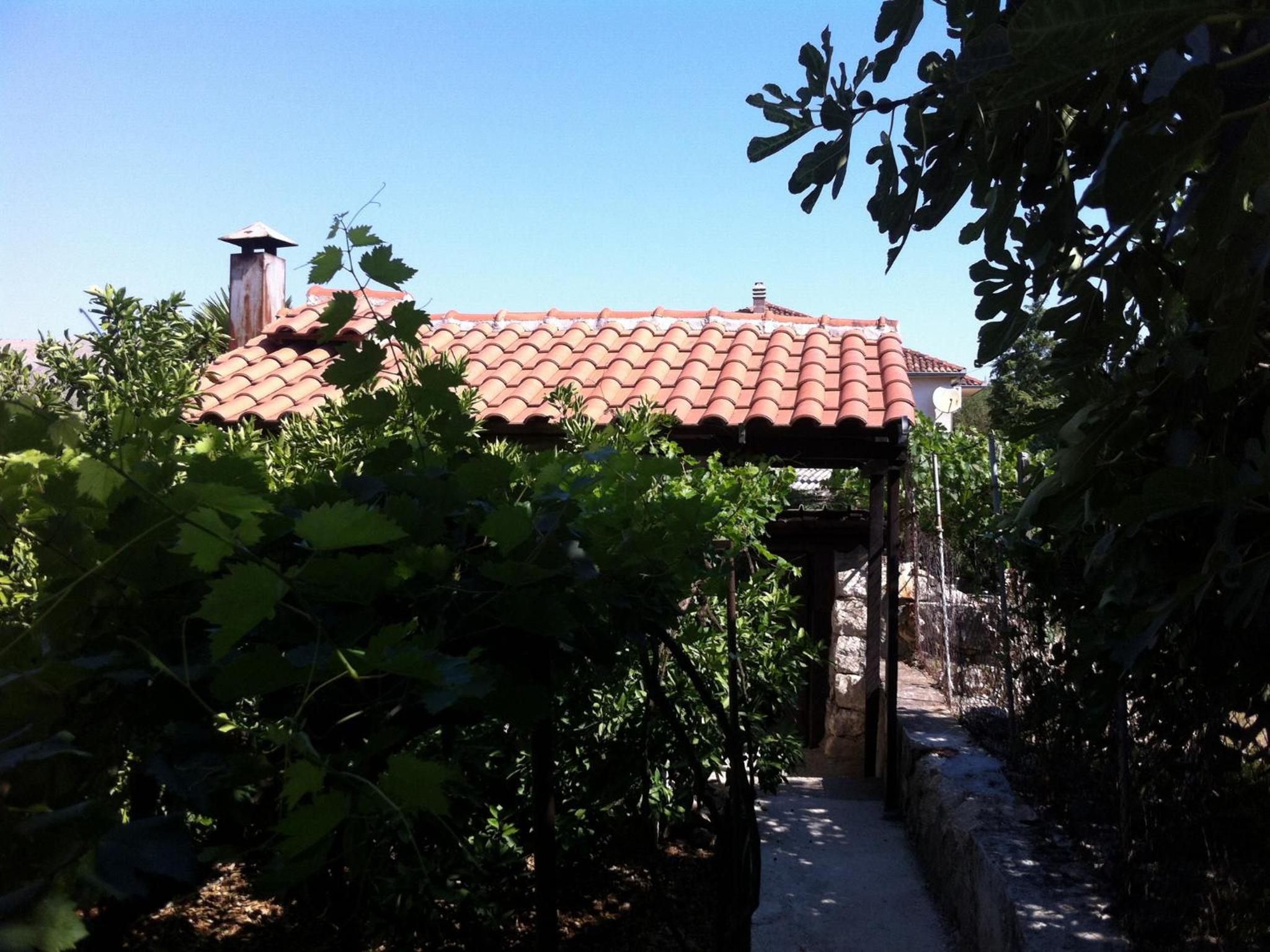 Photo 46
