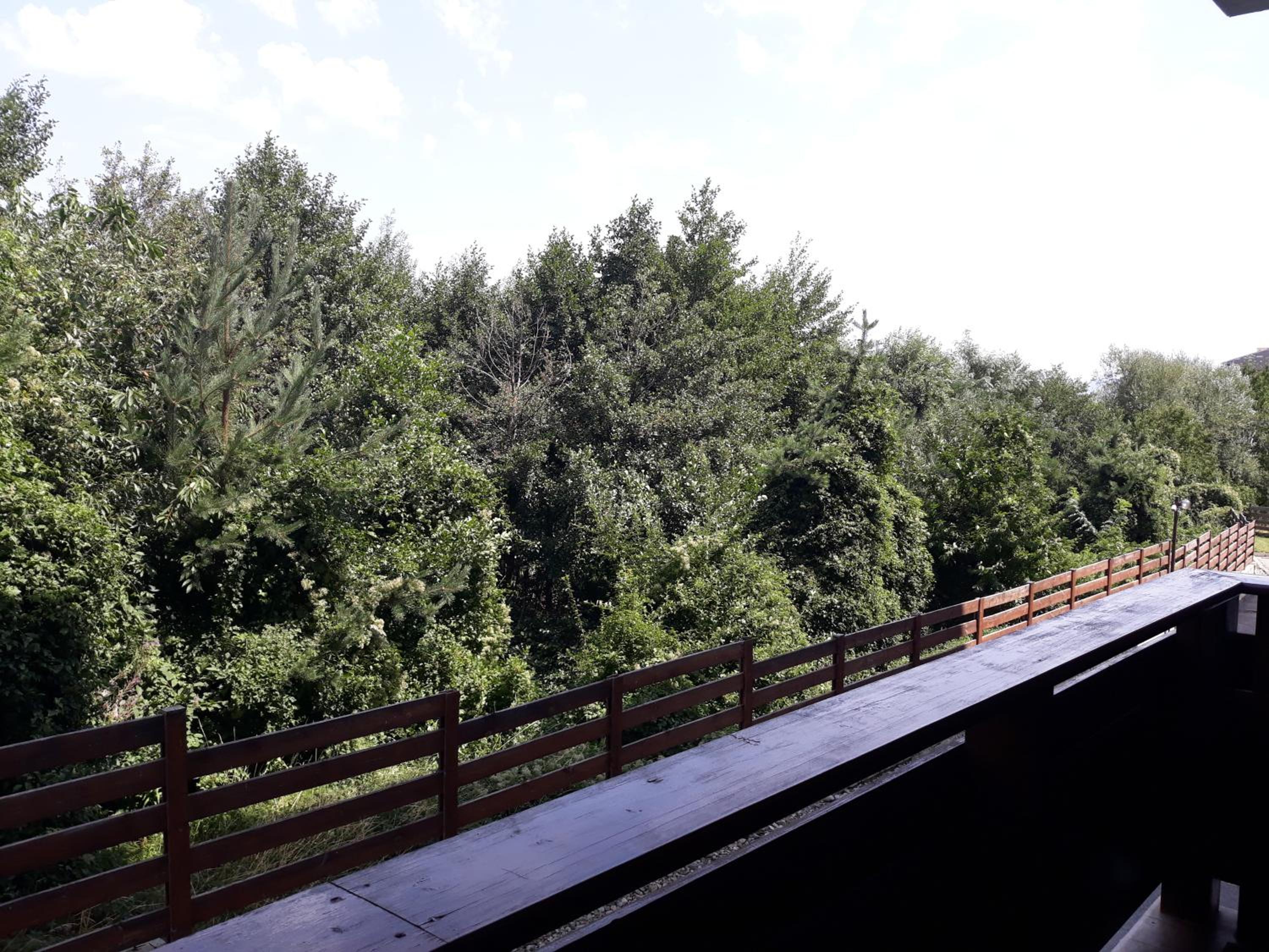 Bansko Vacations - Apartment Detelina Residence - Property Image 15