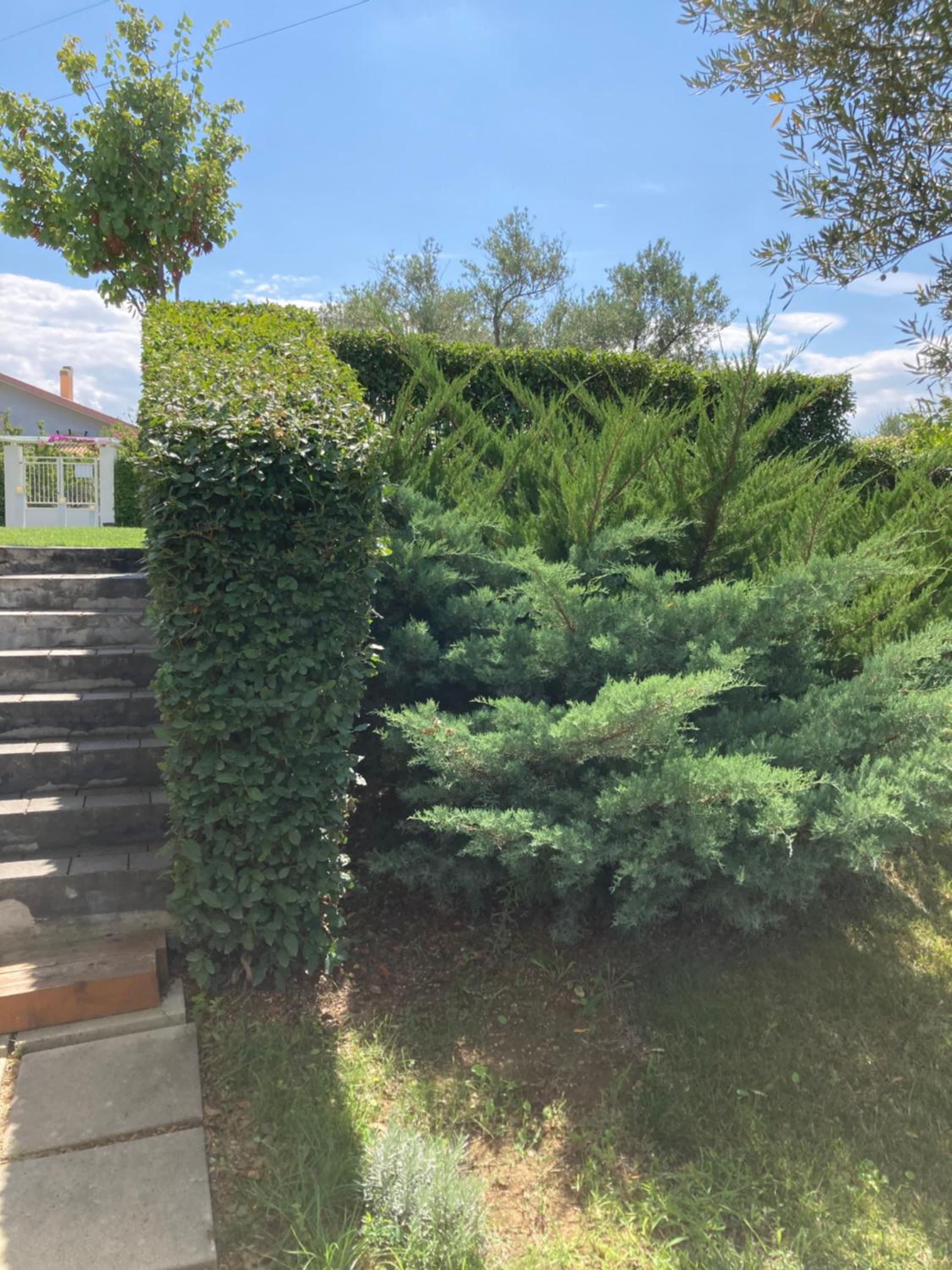 Gioia In Collina