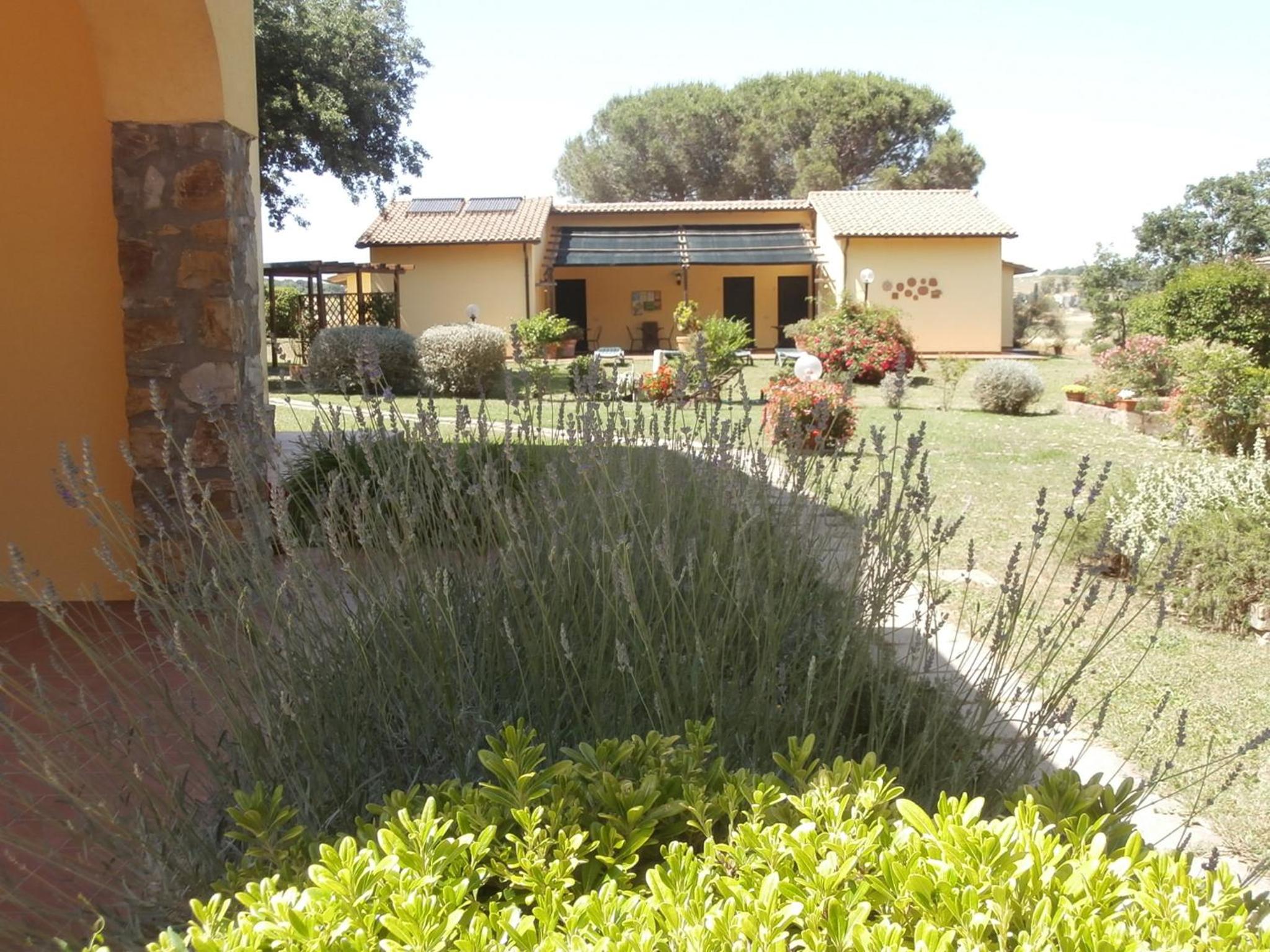 Photo 8