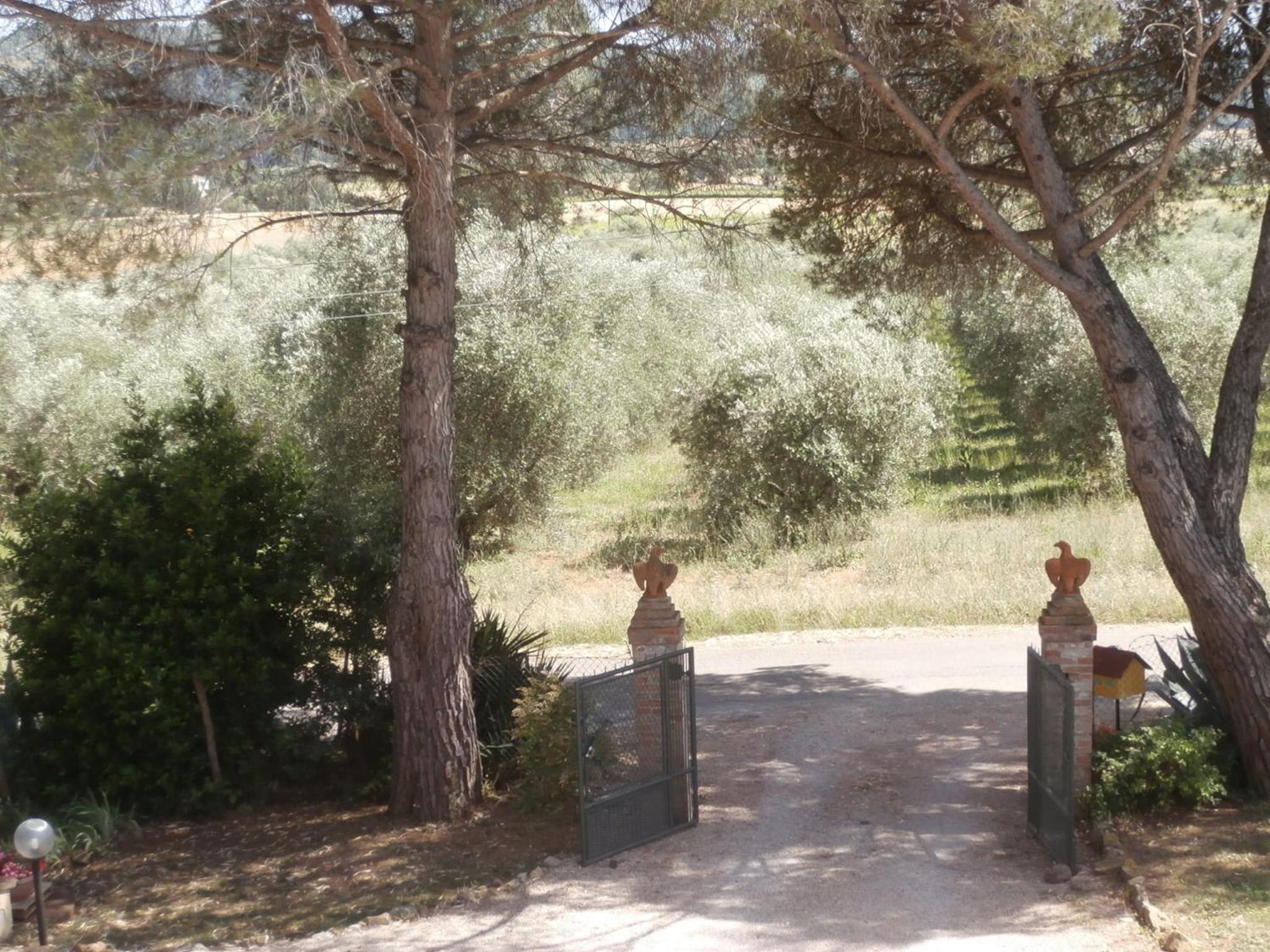 Agriturismo Poggio Sassineri