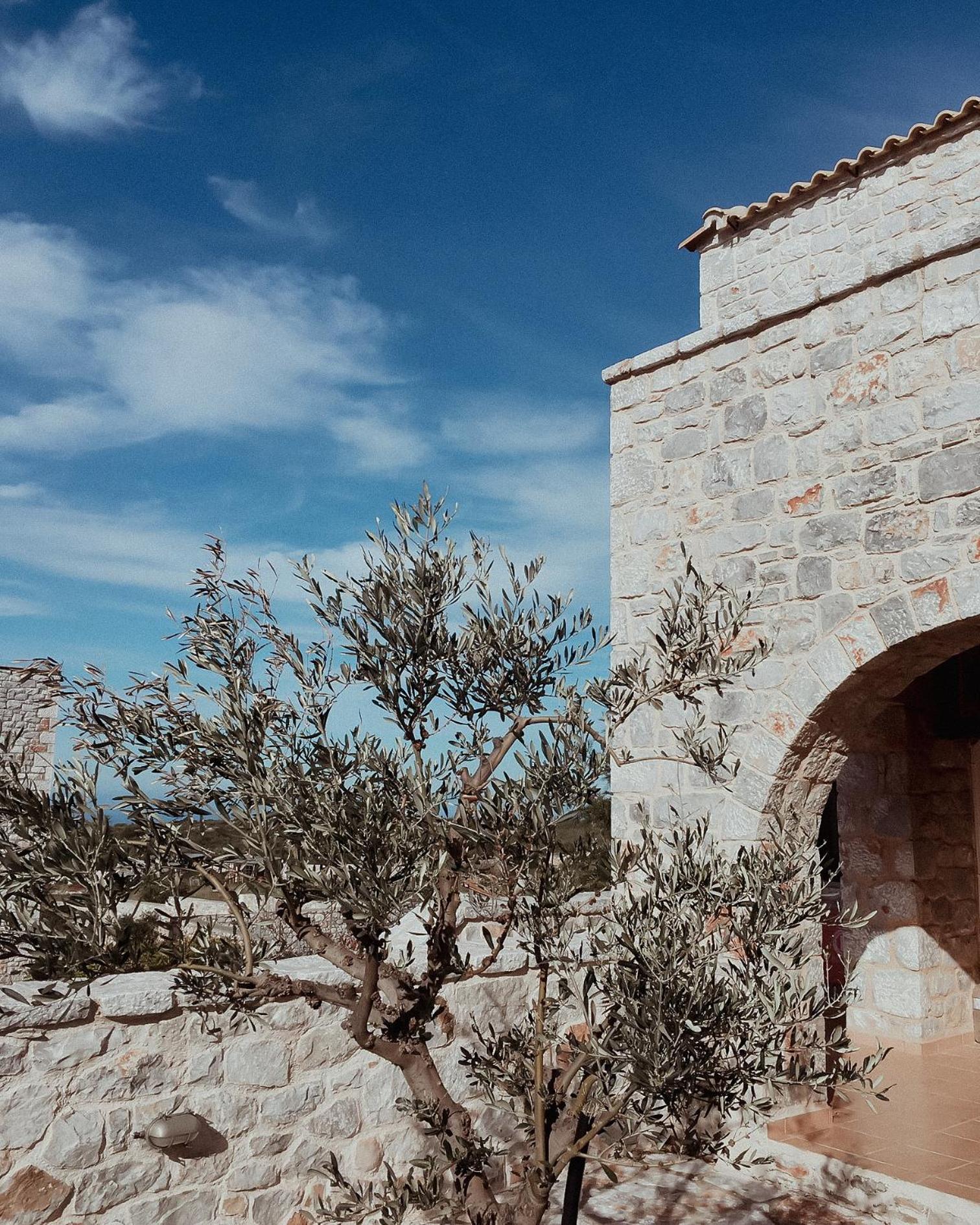 Achelatis Traditional Guest Houses view 5