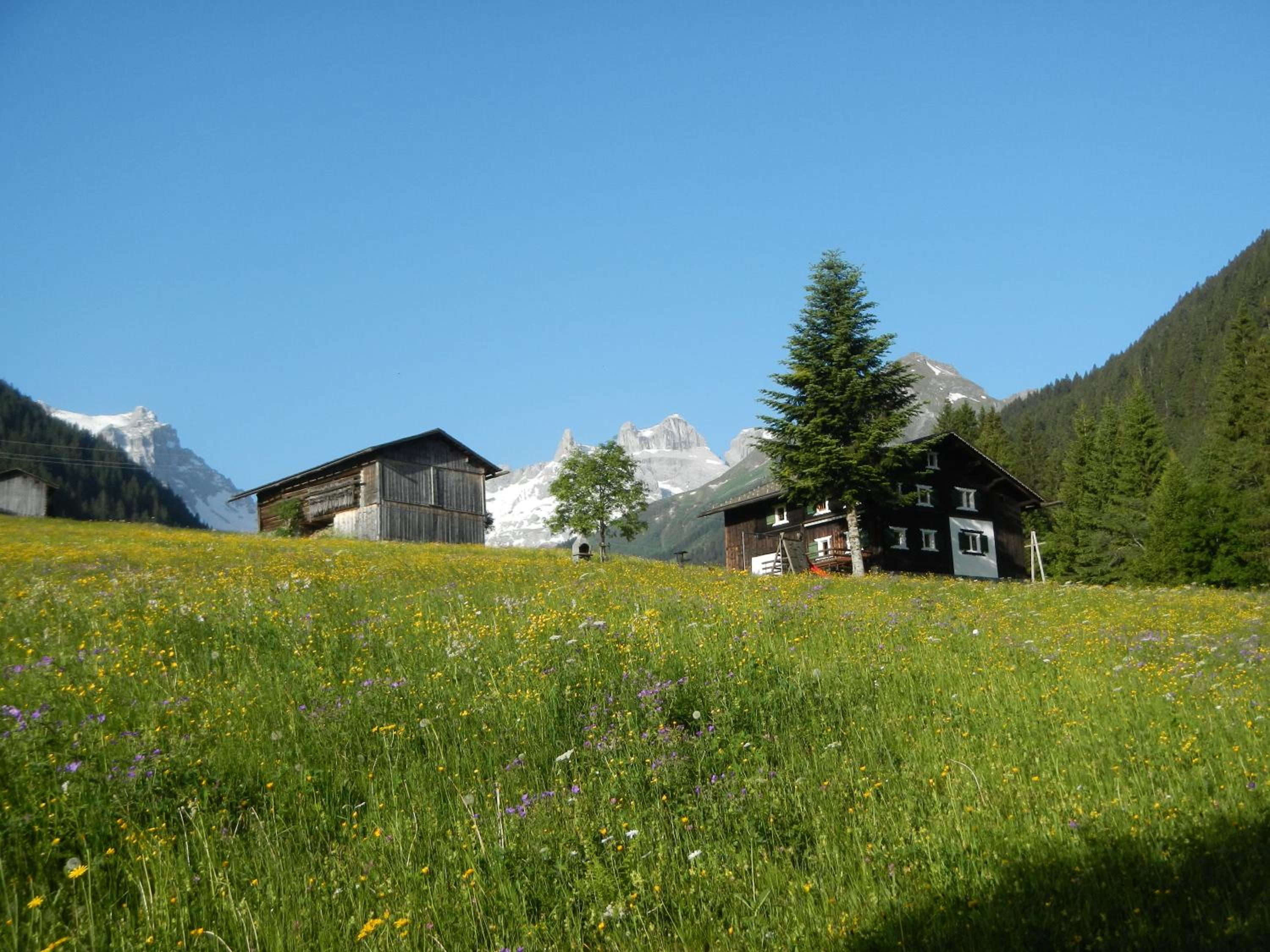 Ferienhaus Vollspora