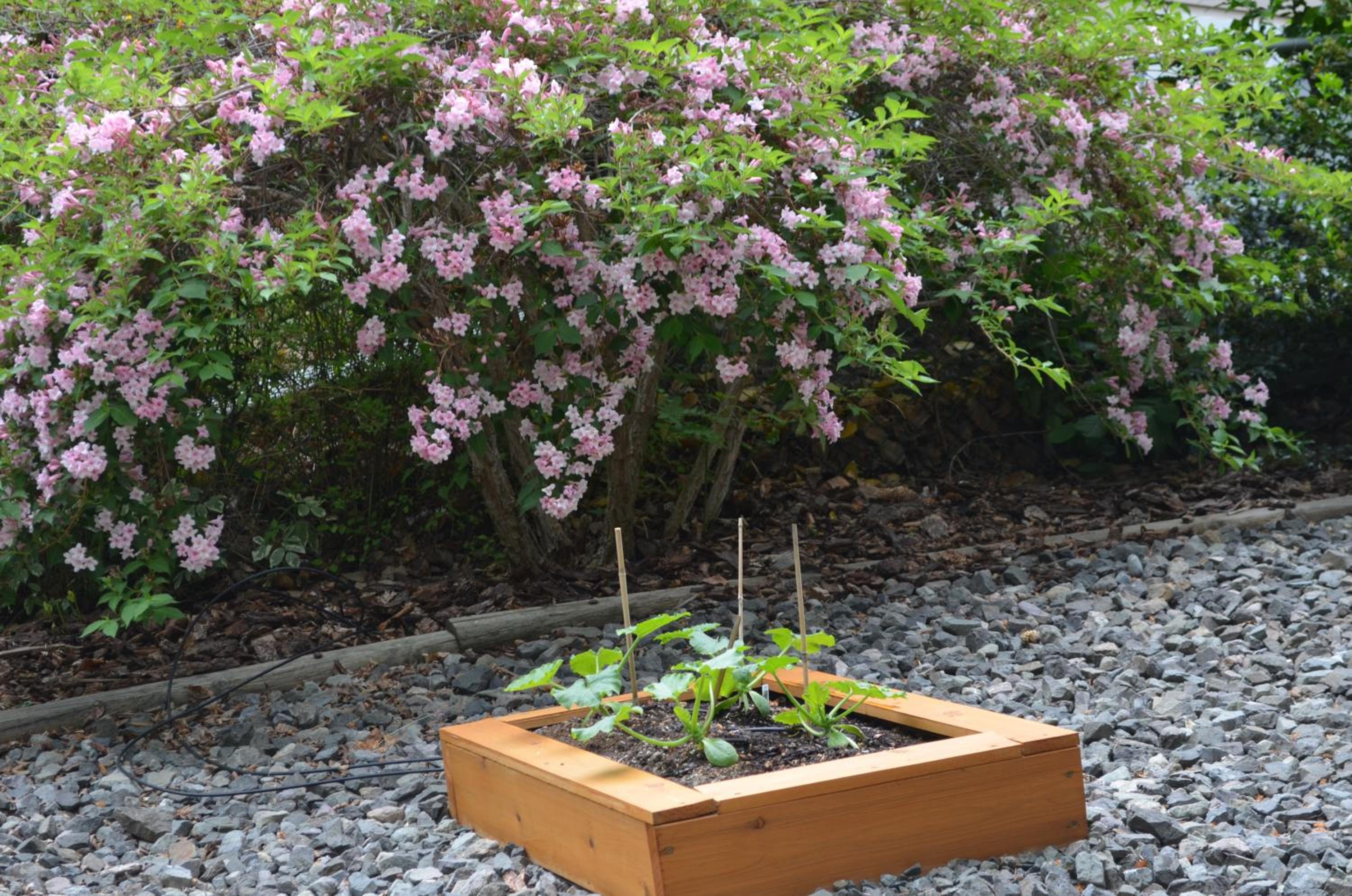 Dogwood Bed & Breakfast