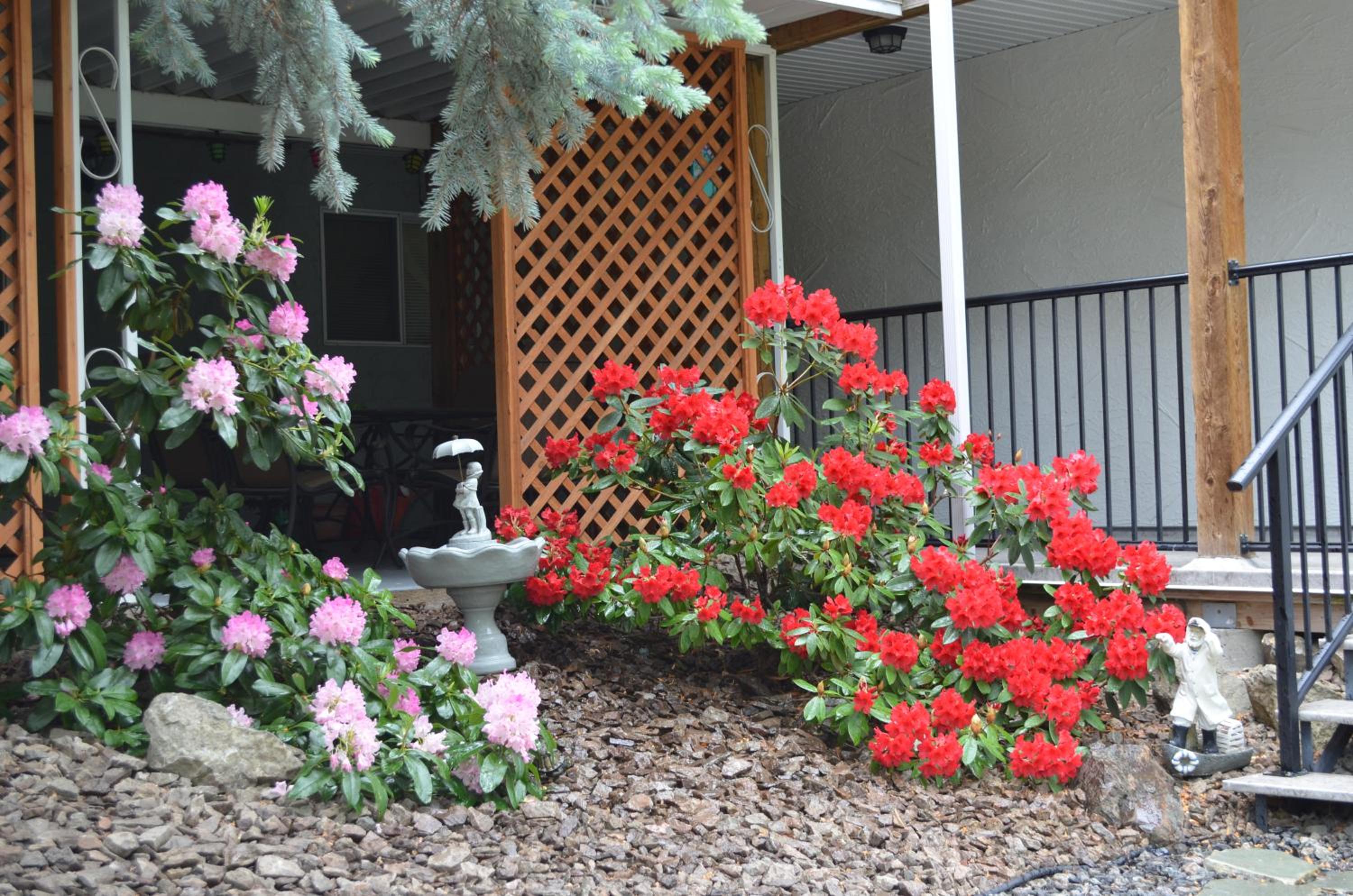 Dogwood Bed & Breakfast