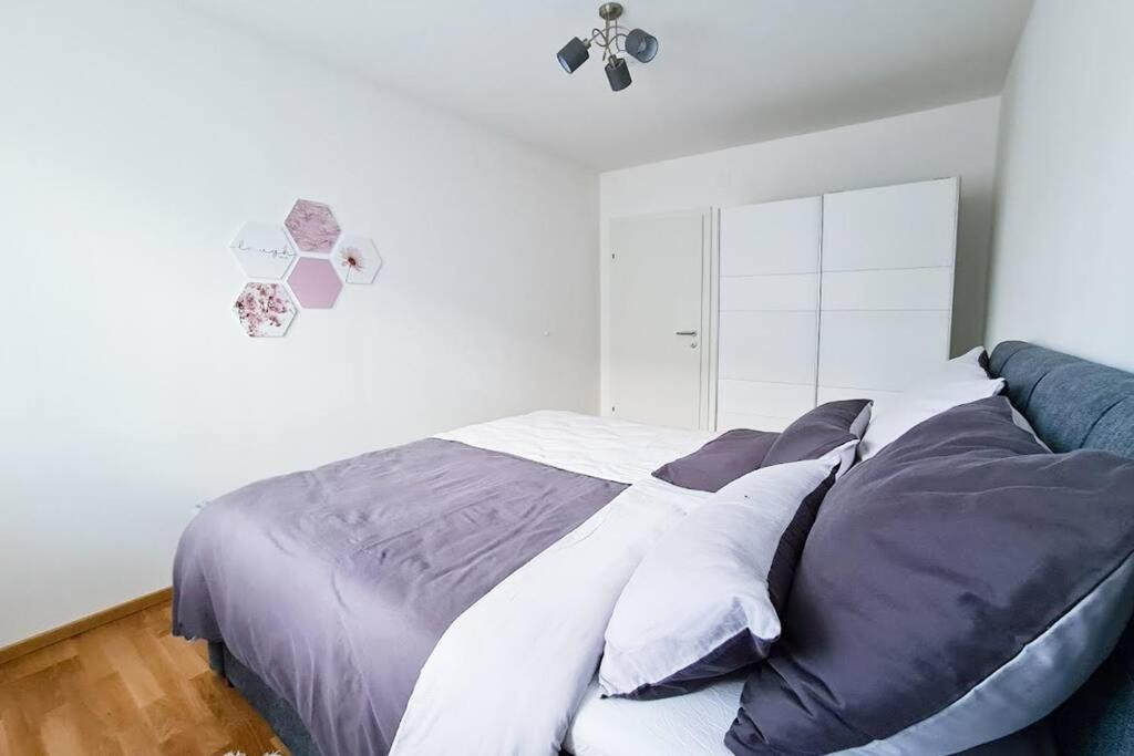 Friendship Suite