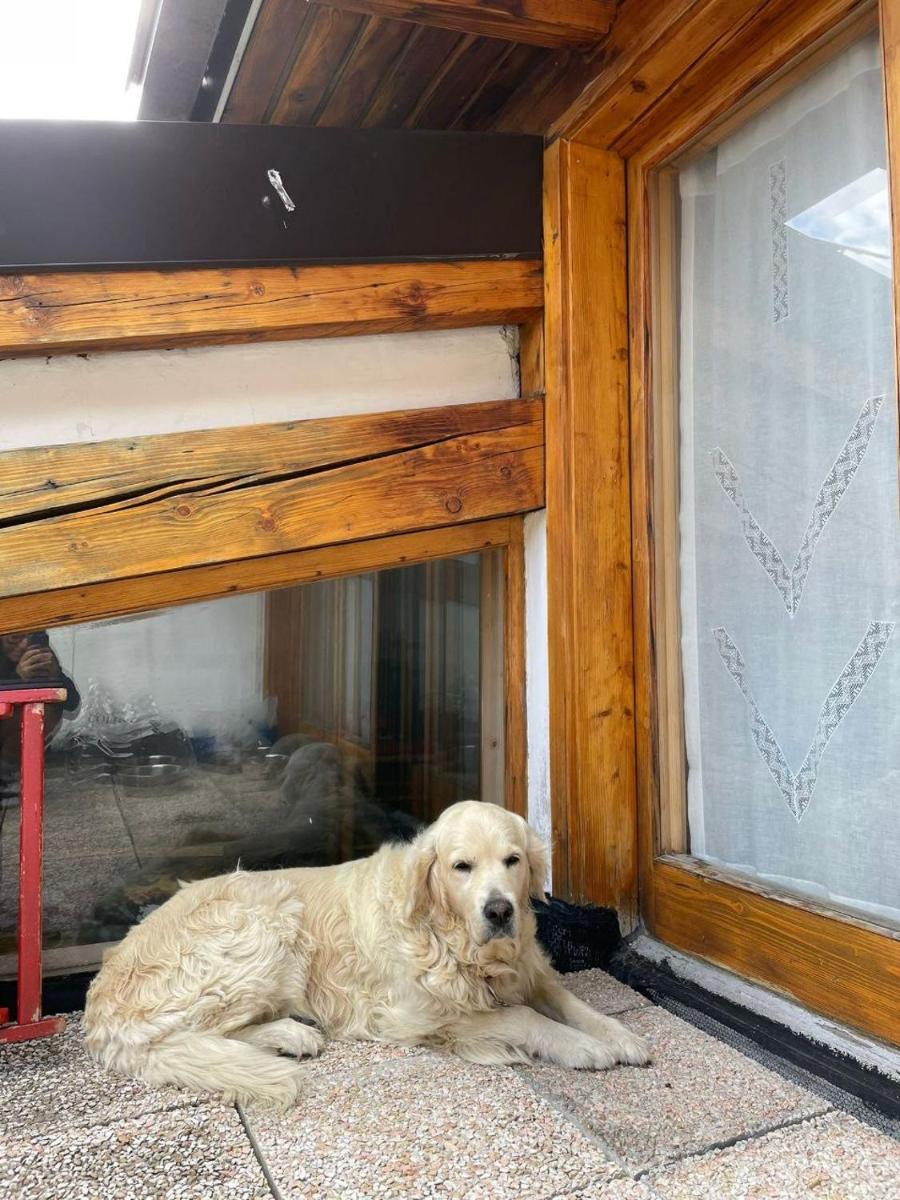 Casa Vacanze a Madonna di Campiglio photo 4