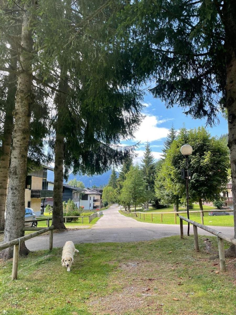 Casa Vacanze a Madonna di Campiglio photo 2