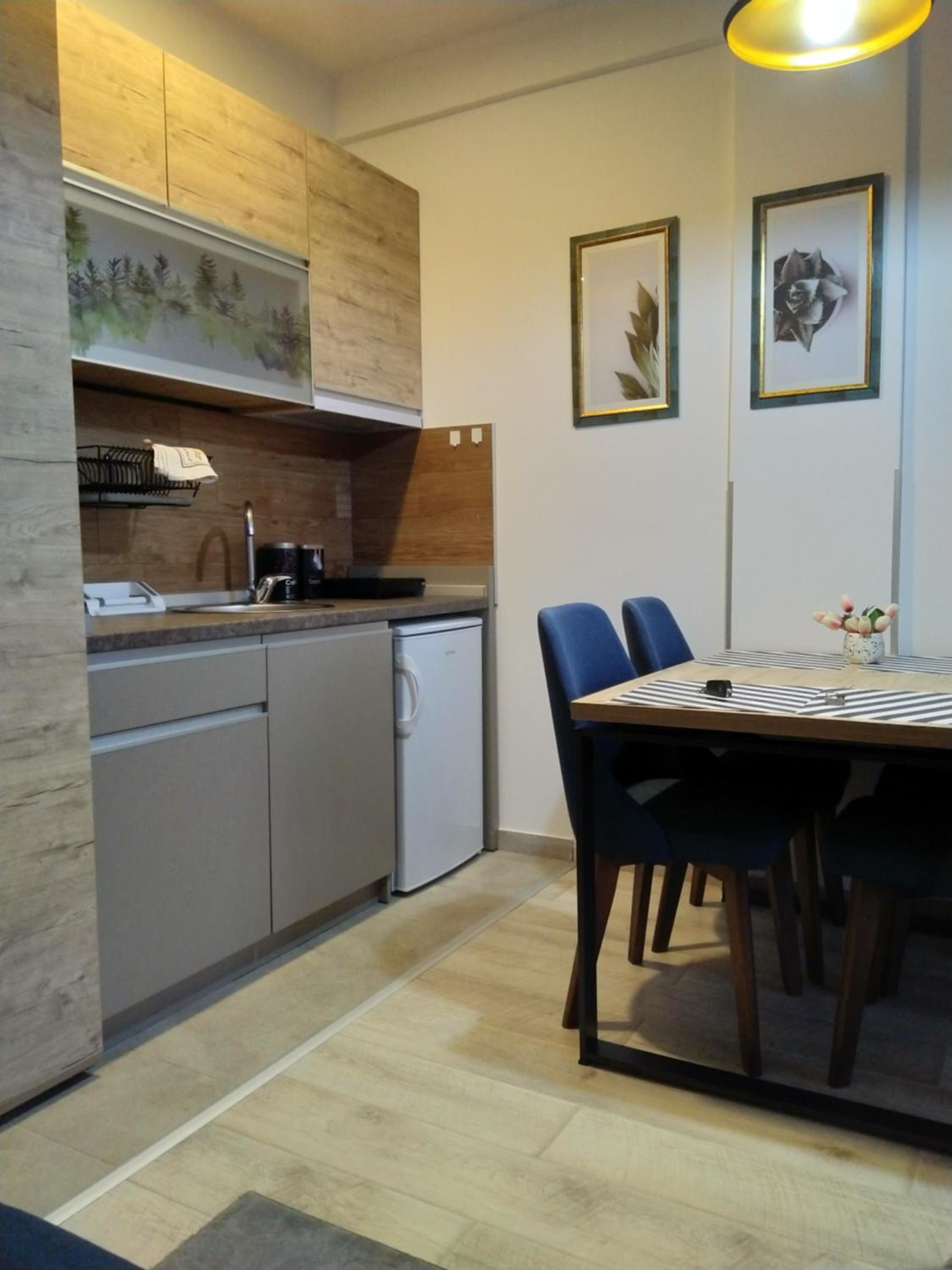 Okili apartman S11 Milmari resort Kopaonik view 2