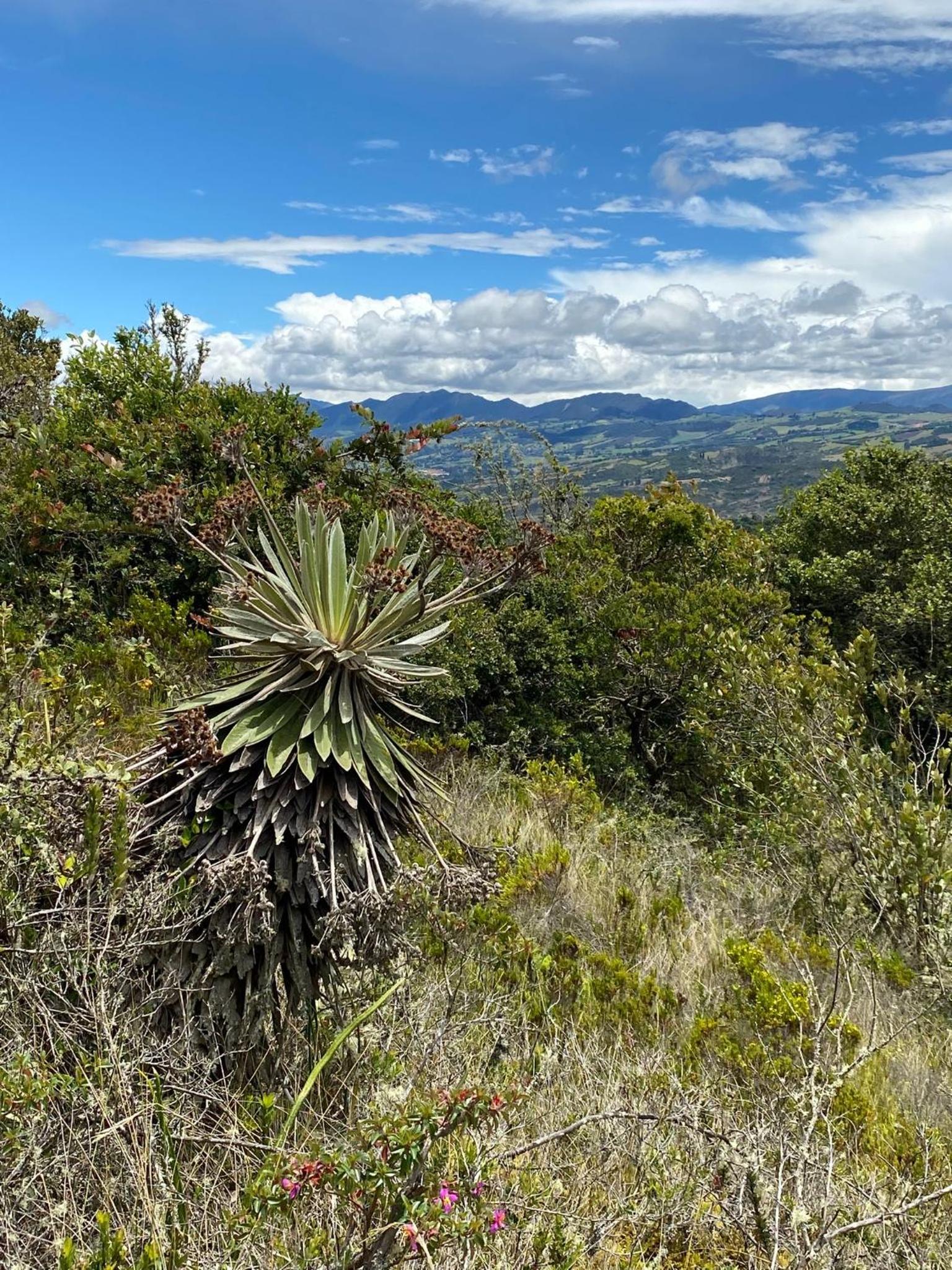 Casa Aposentos - Finca Camino al Cielo
