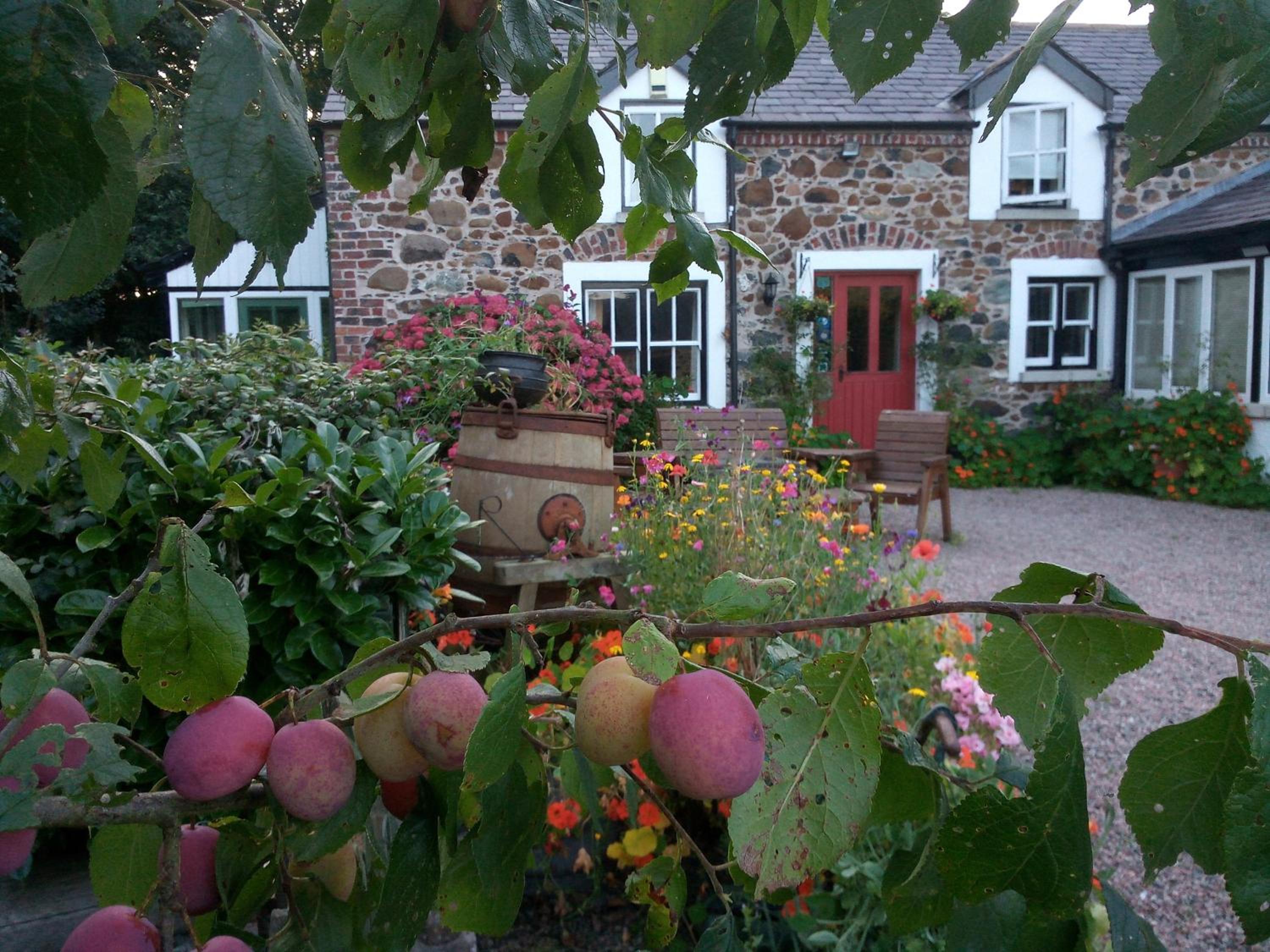 Photo 18