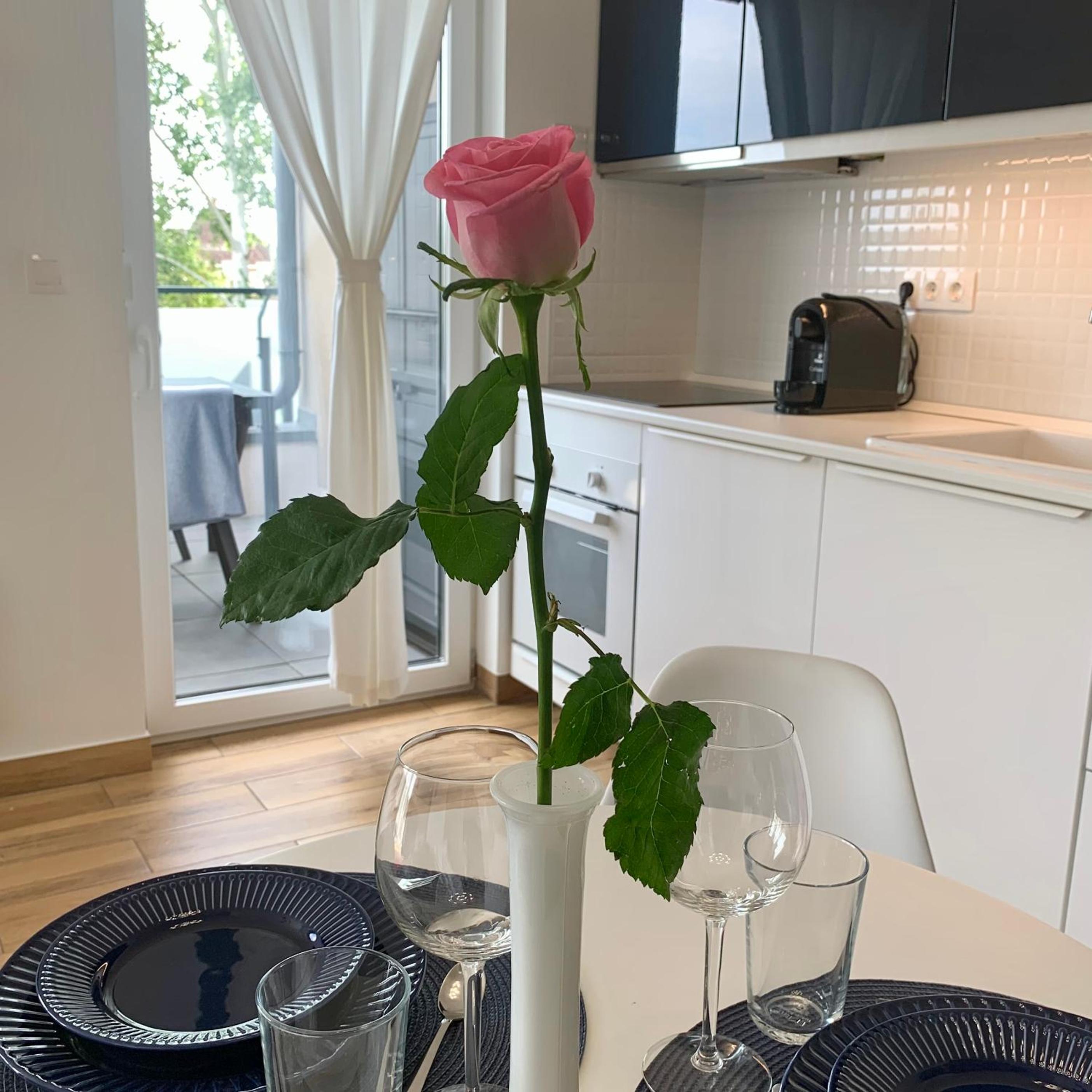 Madagascar Apartman Keszthely view 5