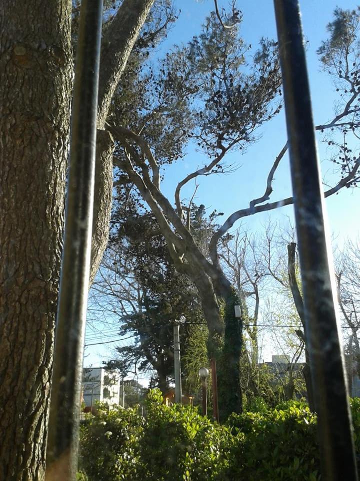 pucará