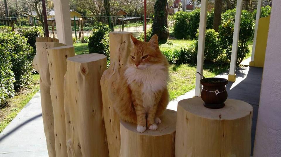 pucará