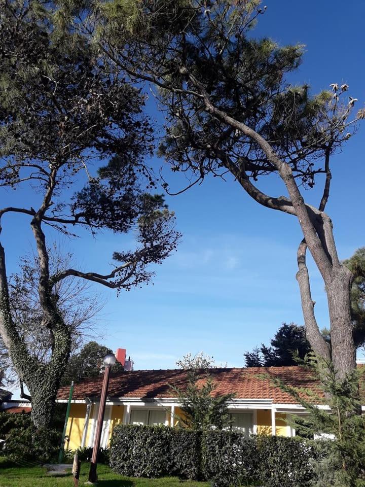 pucará