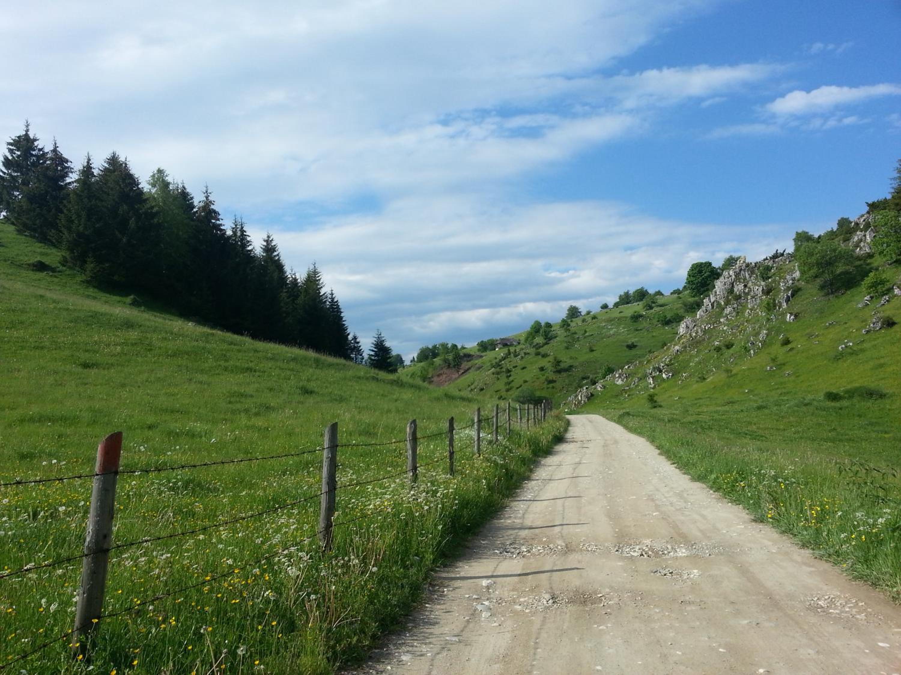Photo 23