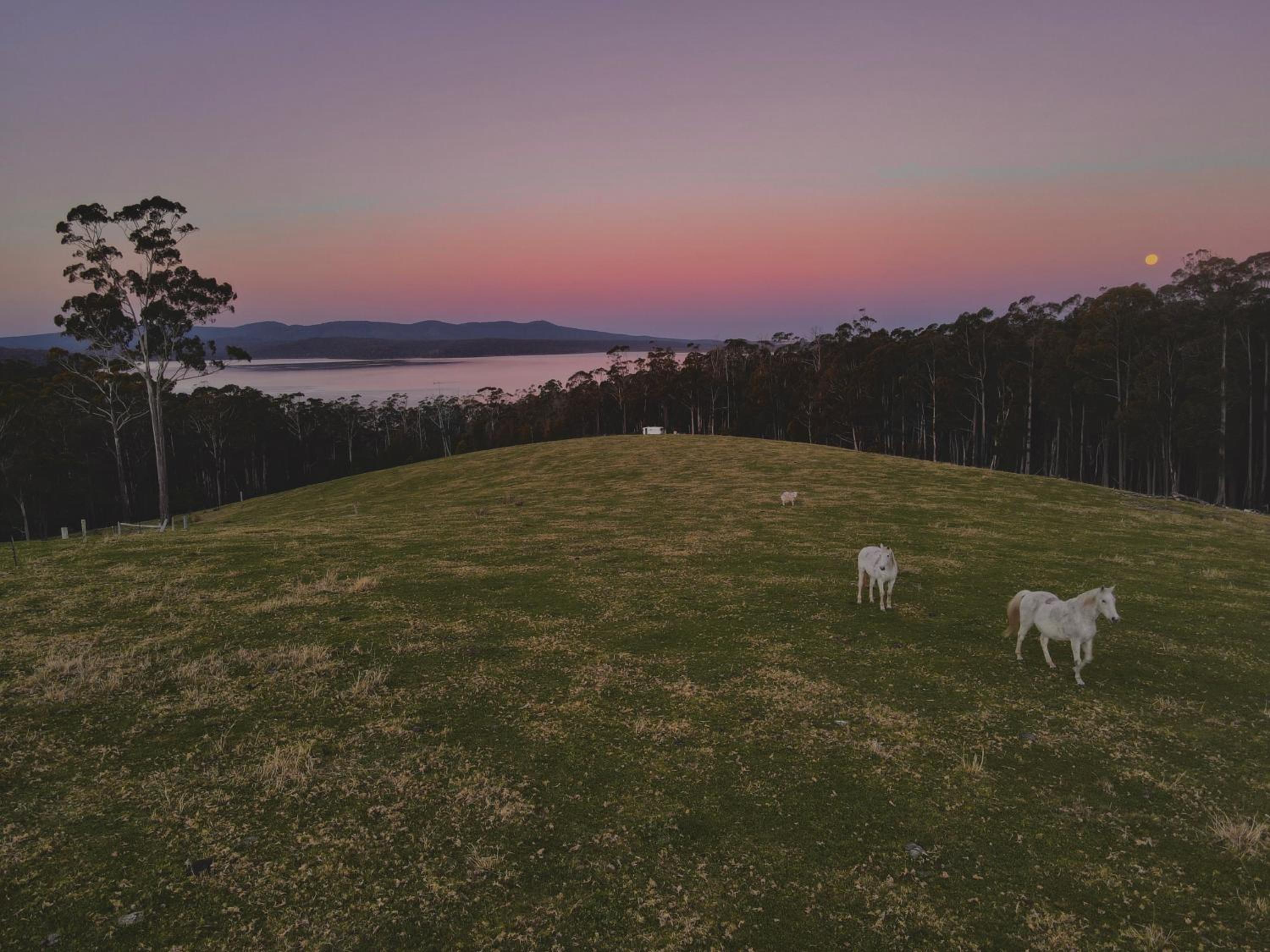 Farm Stay & Iconic Water Views - 32 Zachary Drive