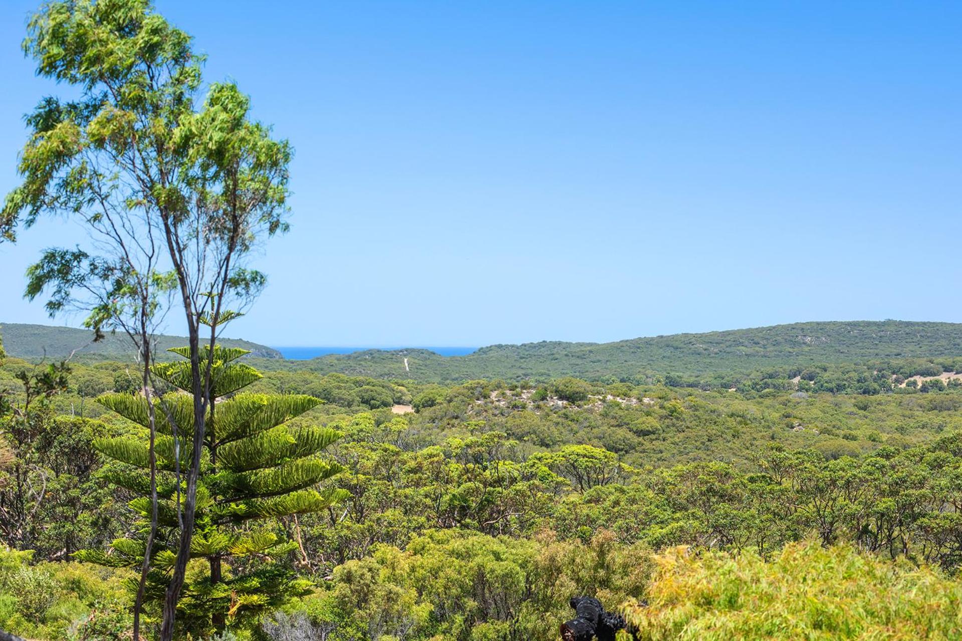 Hamelin Bay Vista