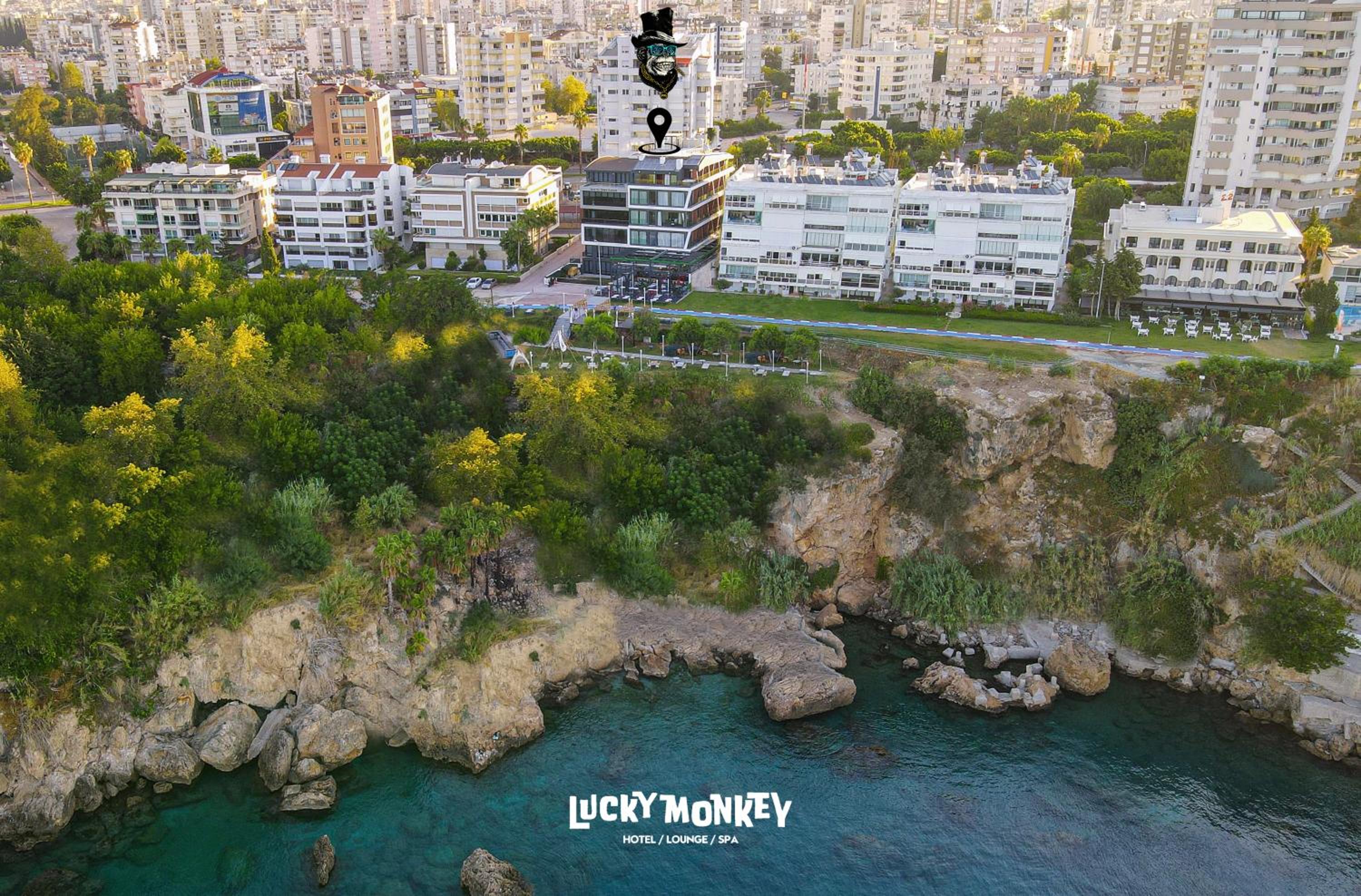 Lucky Monkey Hotel - Image 72