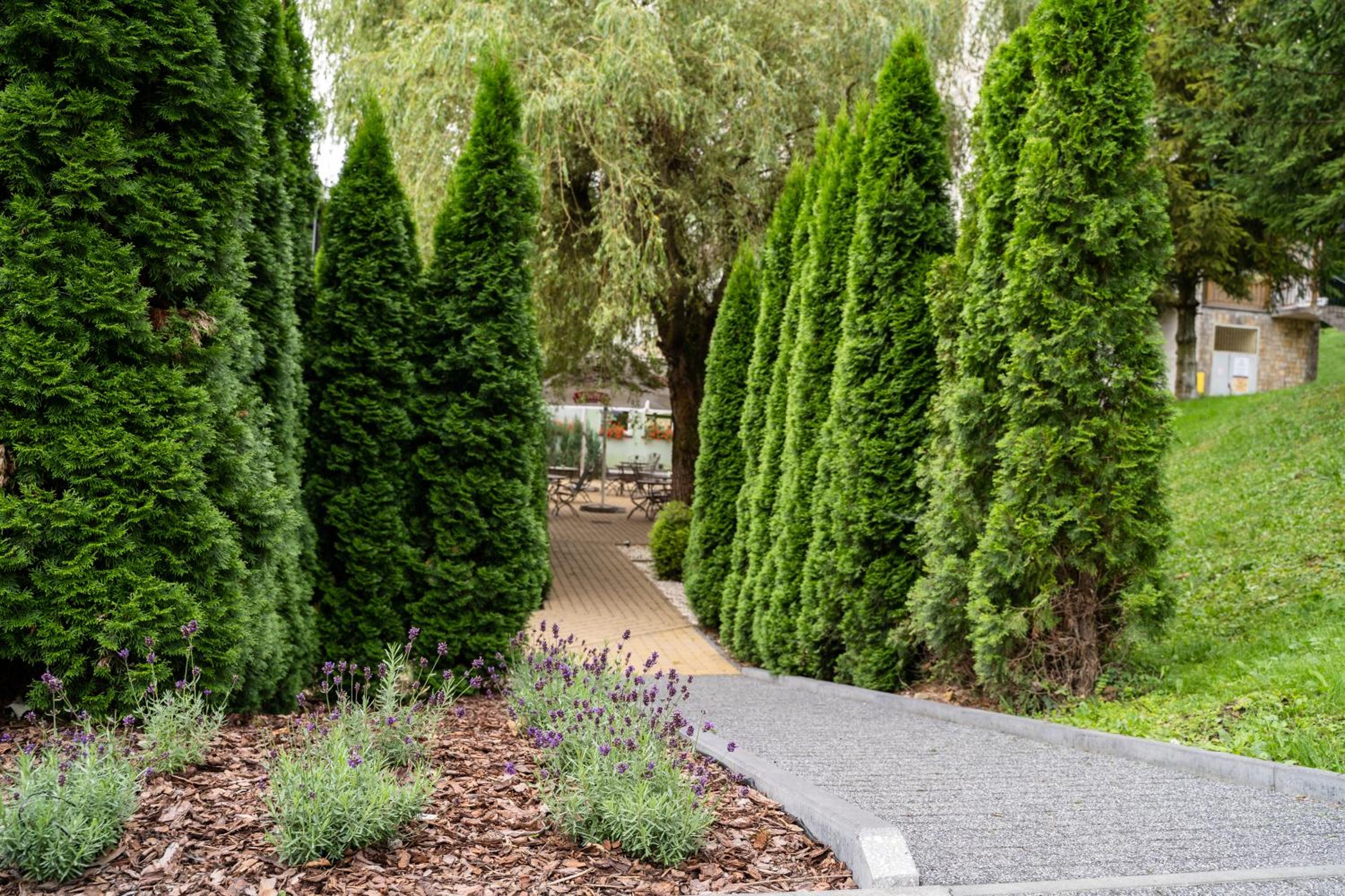 garden