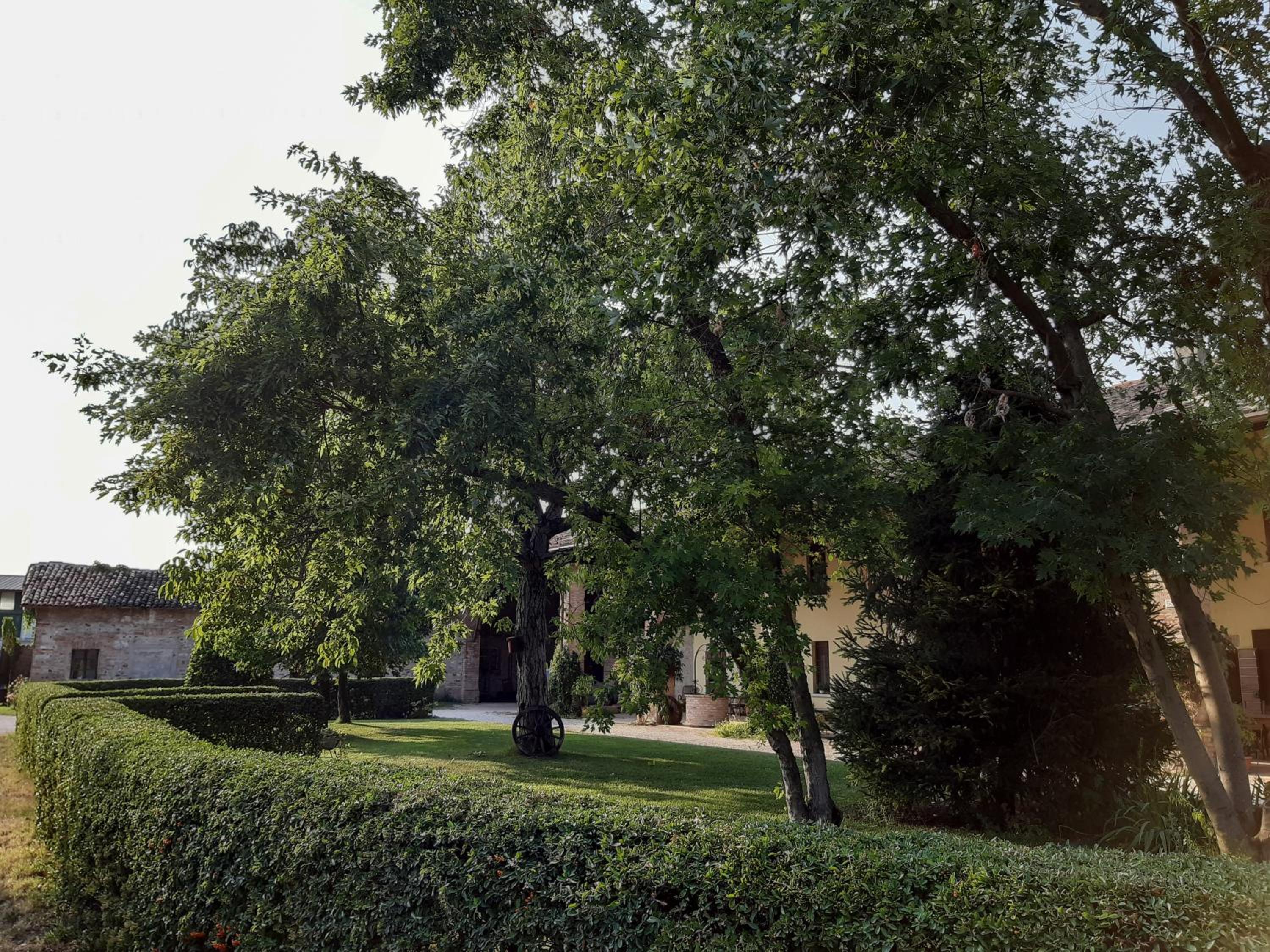 B&B Santa Cristina view 3